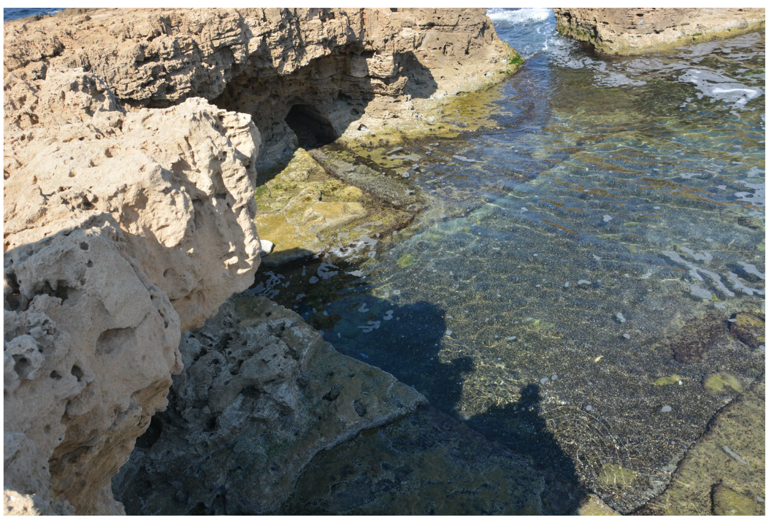 Quaternary 06 00024 g011