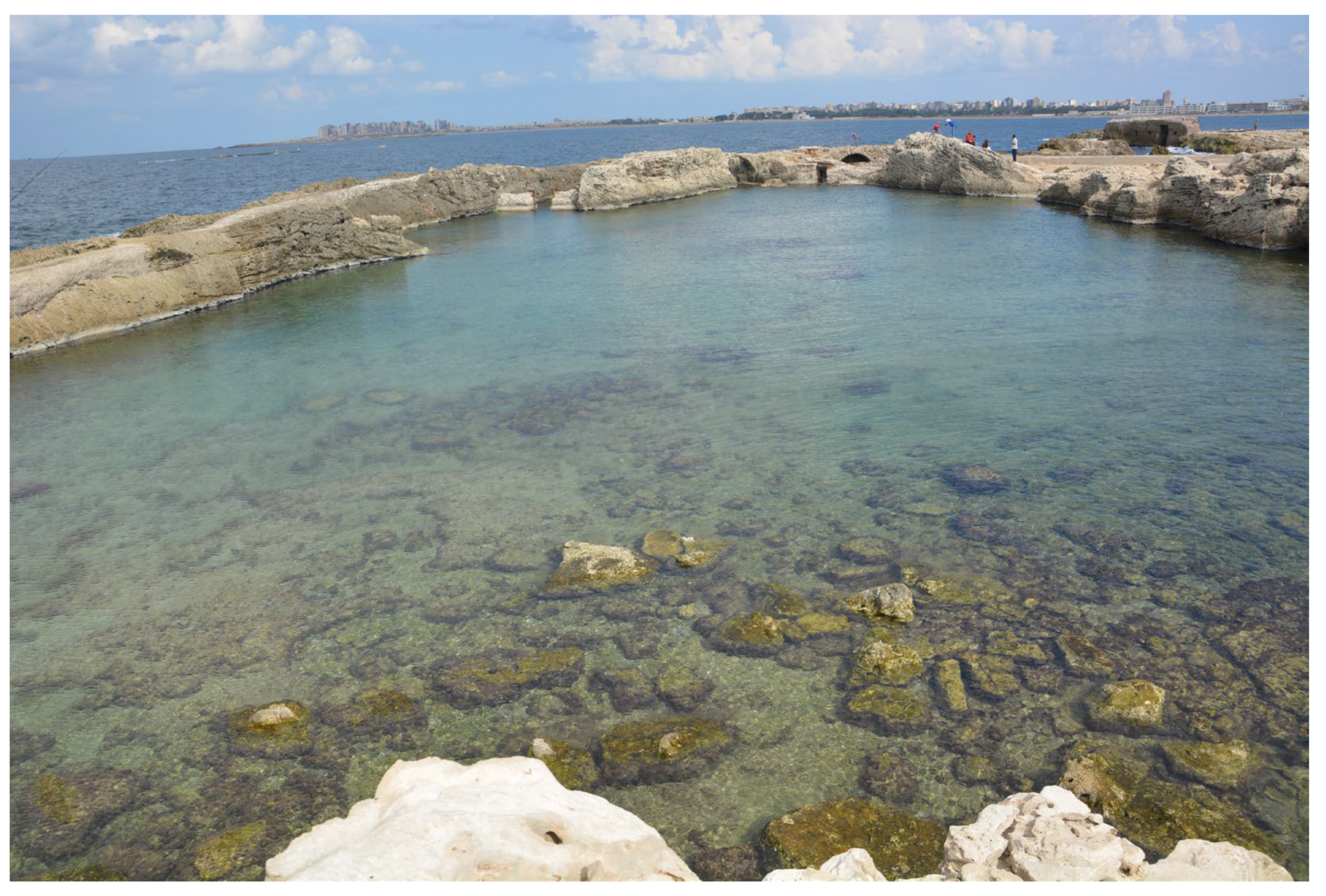 Quaternary 06 00024 g012