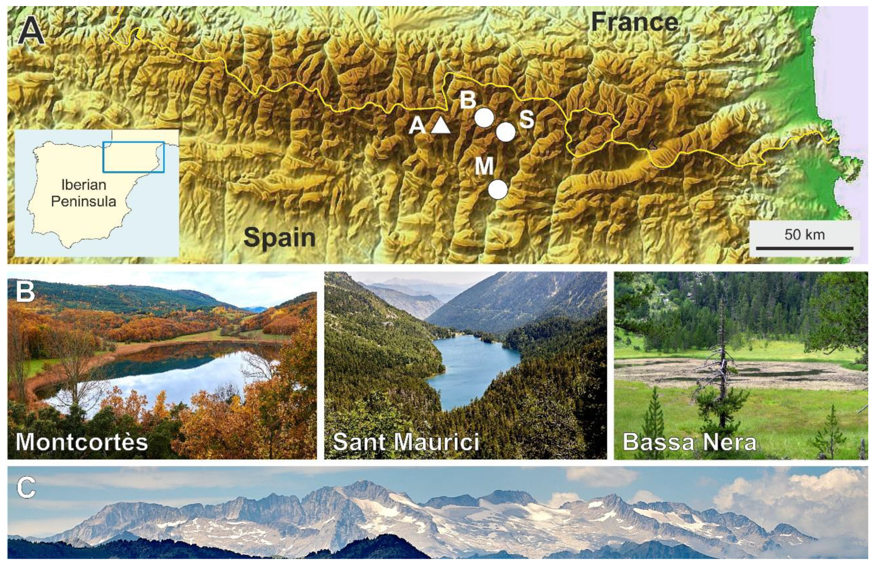 Quaternary 06 00042 g001 Quaternary 06 00042 g001