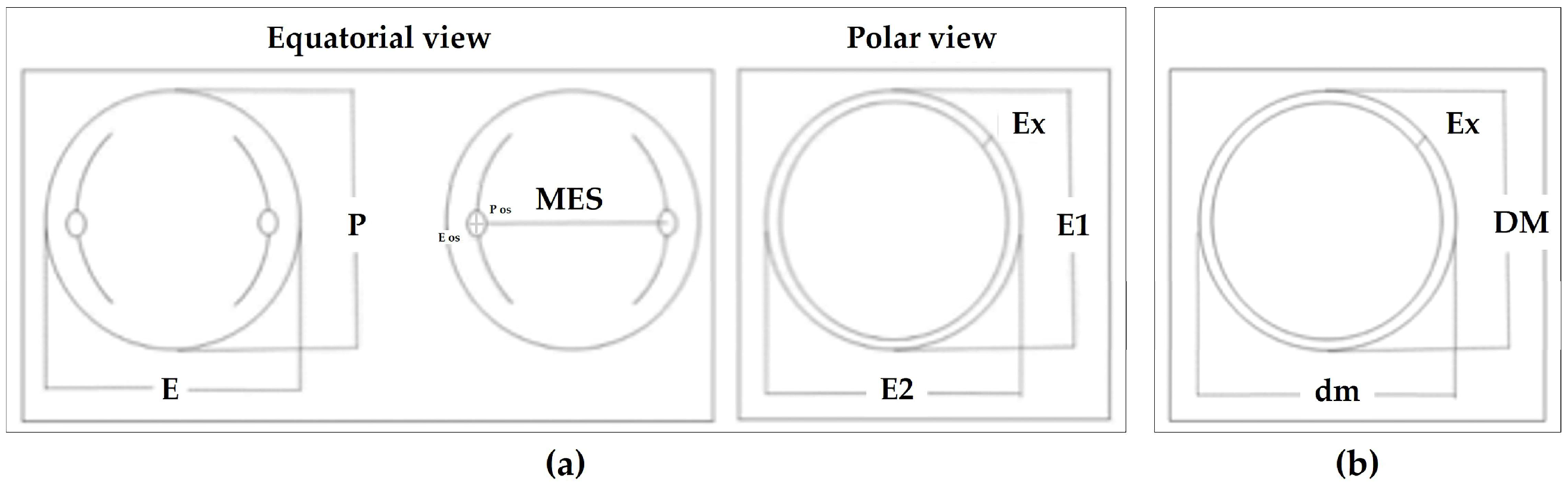 Quaternary 06 00043 g003