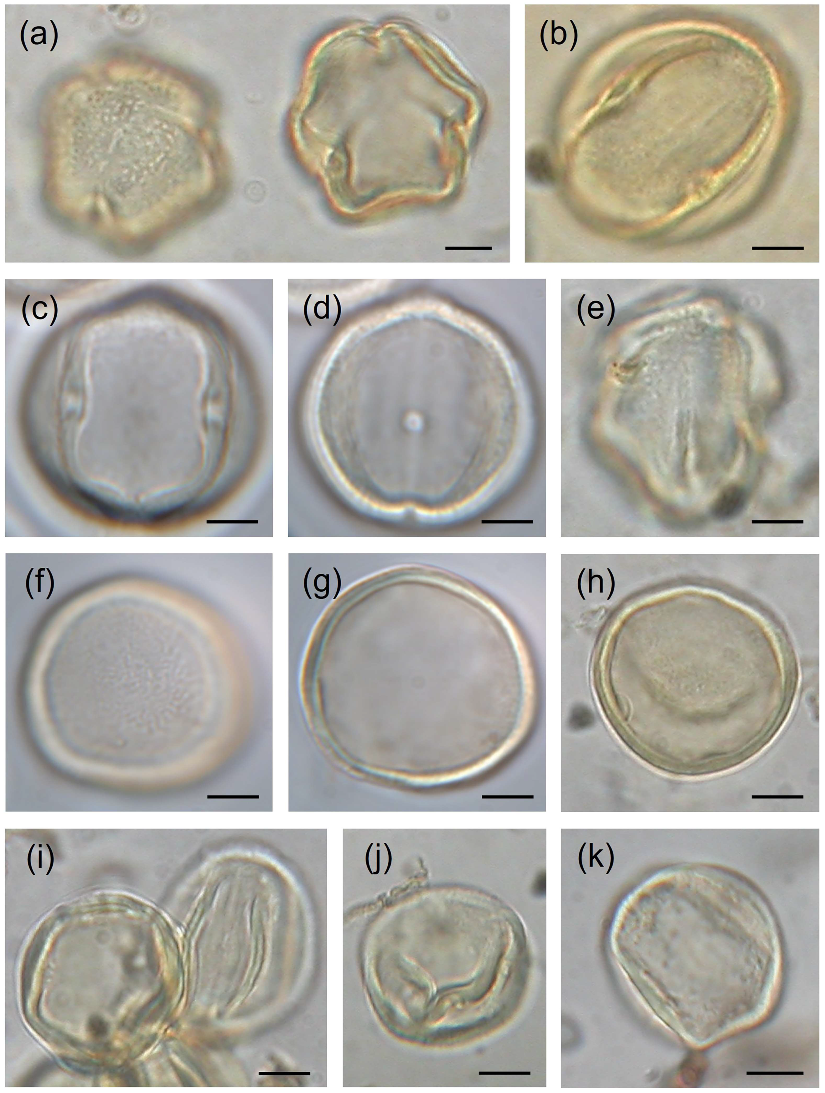 Quaternary 06 00043 g008