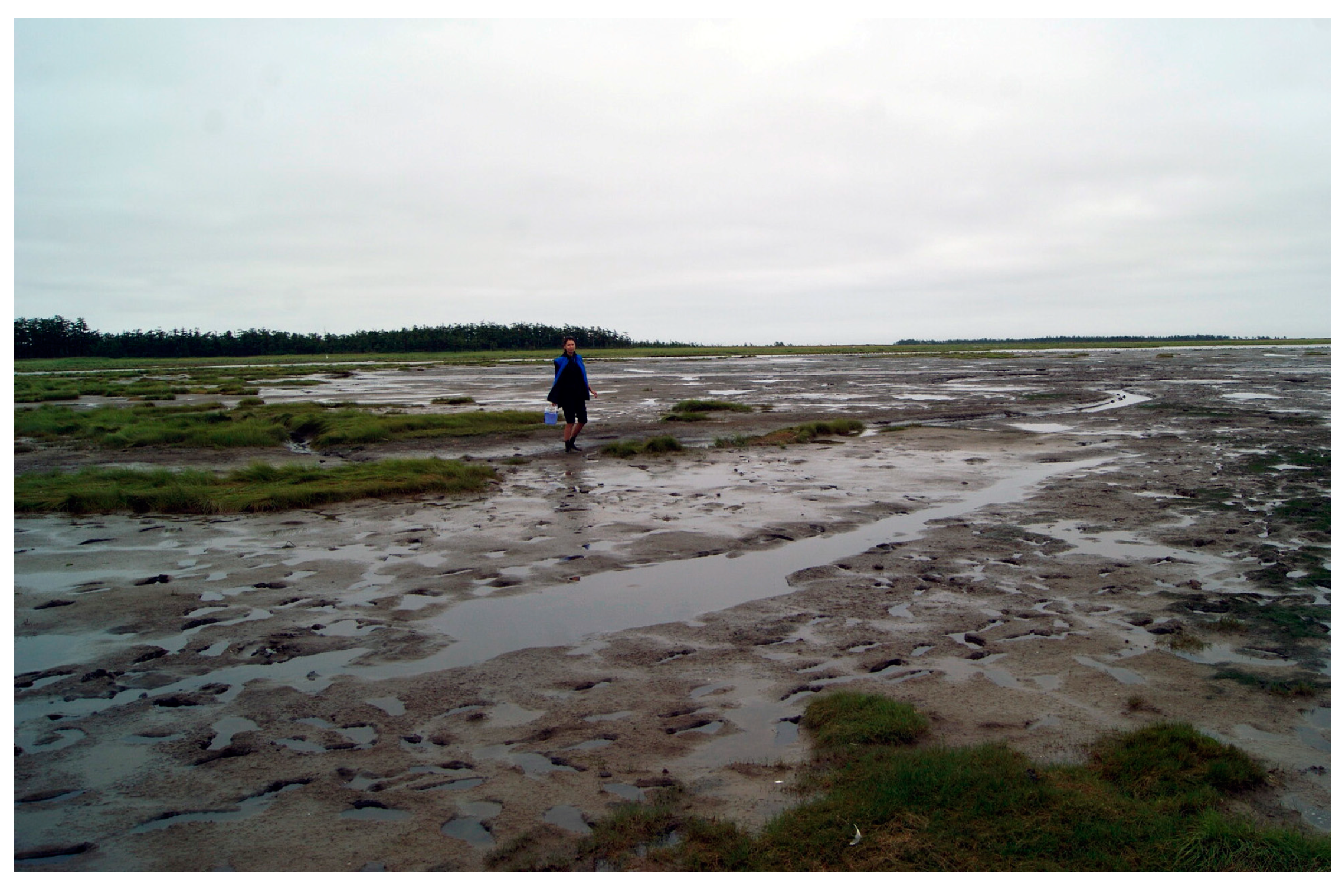 Quaternary 06 00049 g003