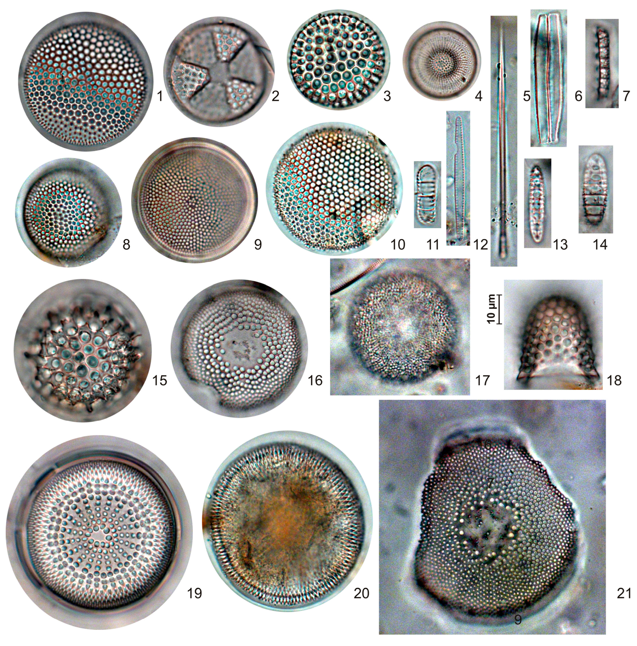 Quaternary 06 00049 g010