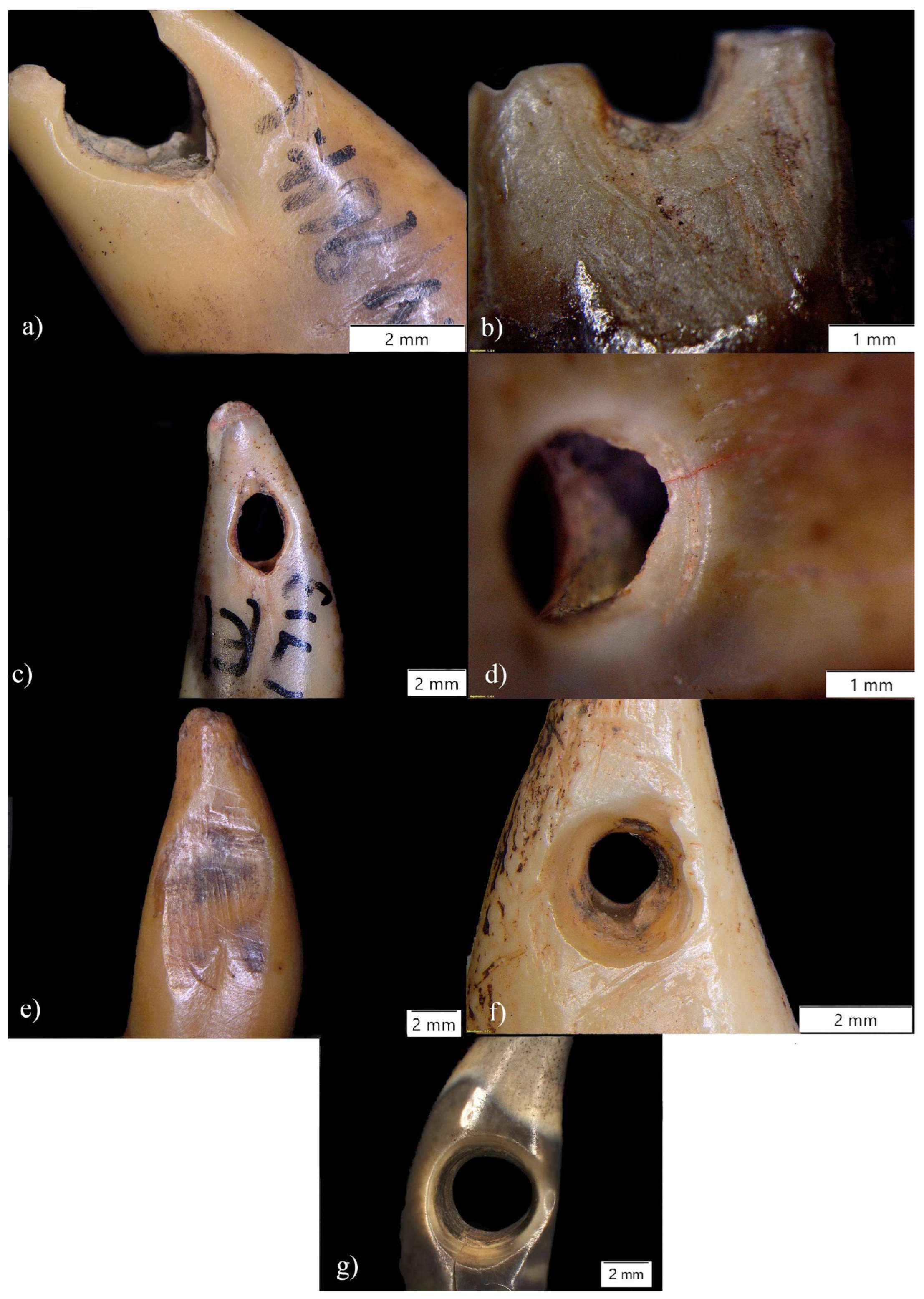 Quaternary 06 00050 g005