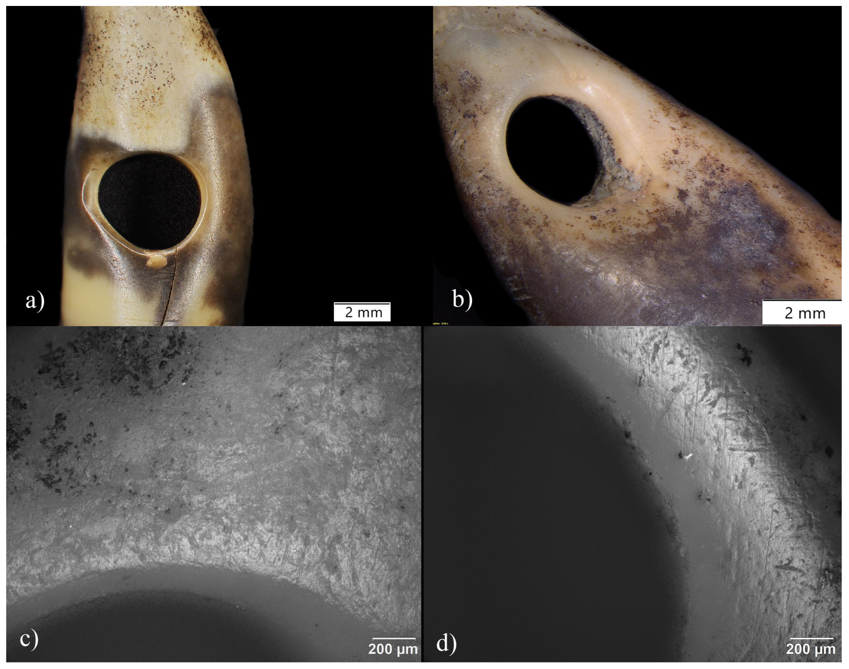 Quaternary 06 00050 g006