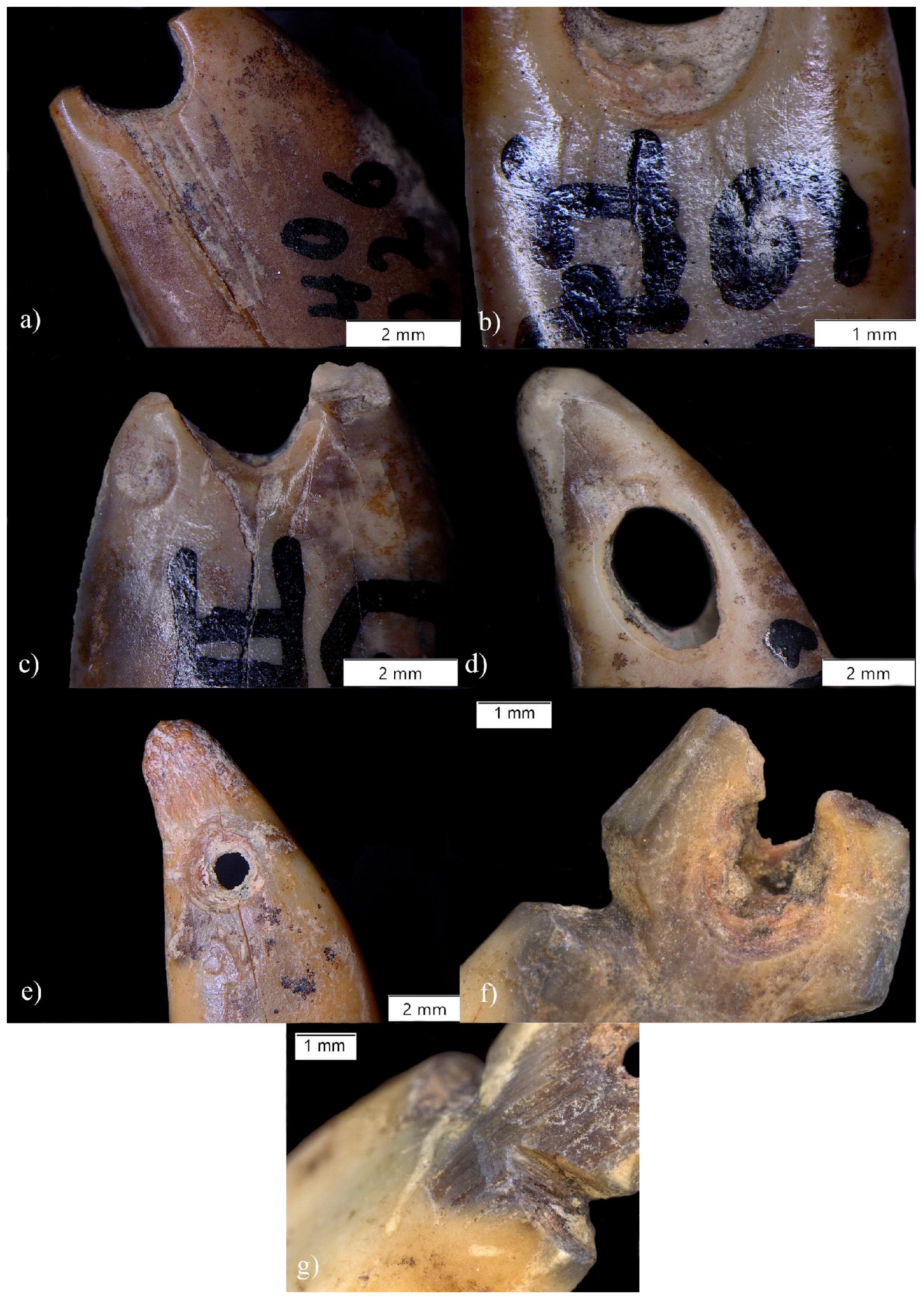 Quaternary 06 00050 g007