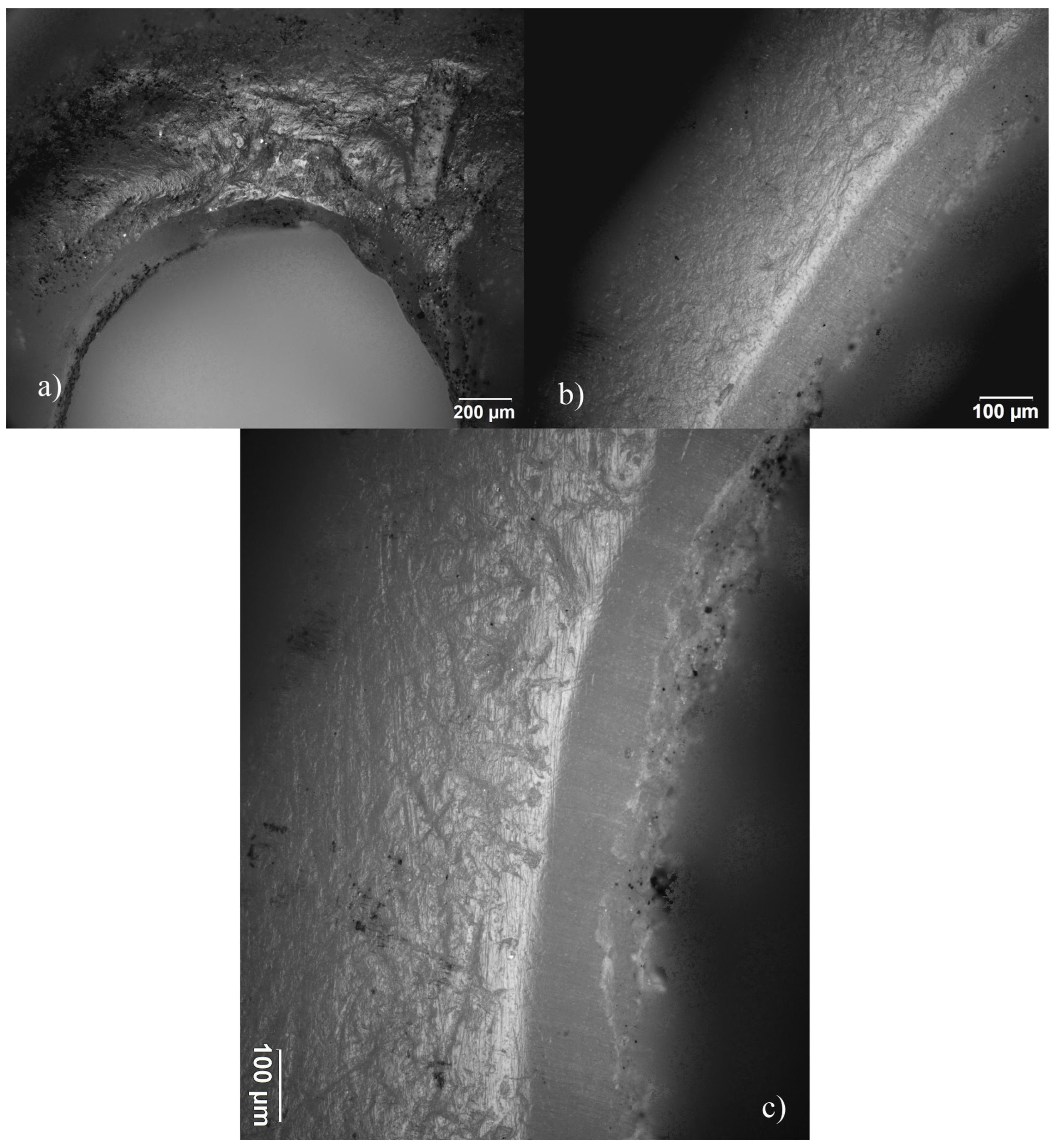 Quaternary 06 00050 g008
