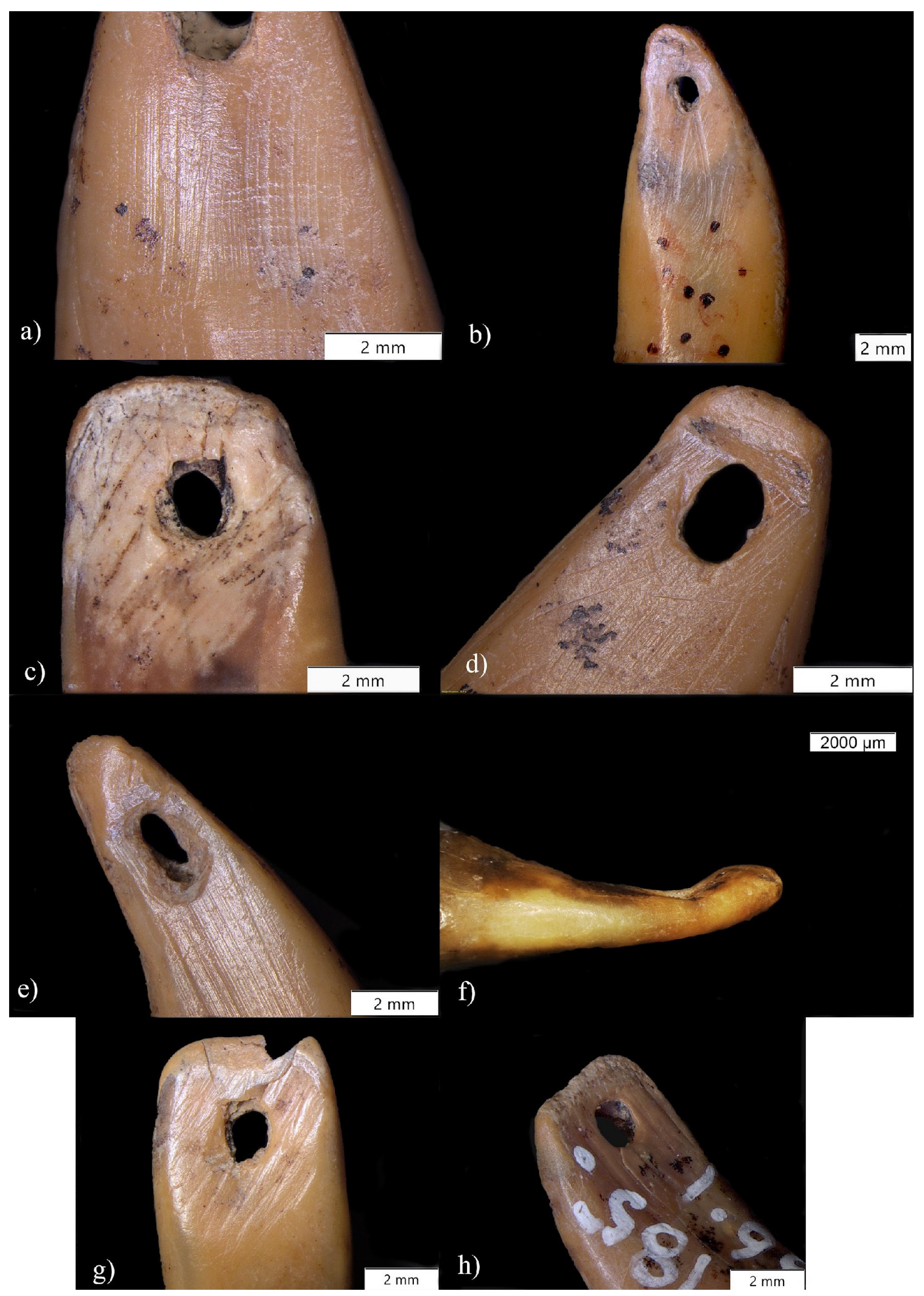 Quaternary 06 00050 g009