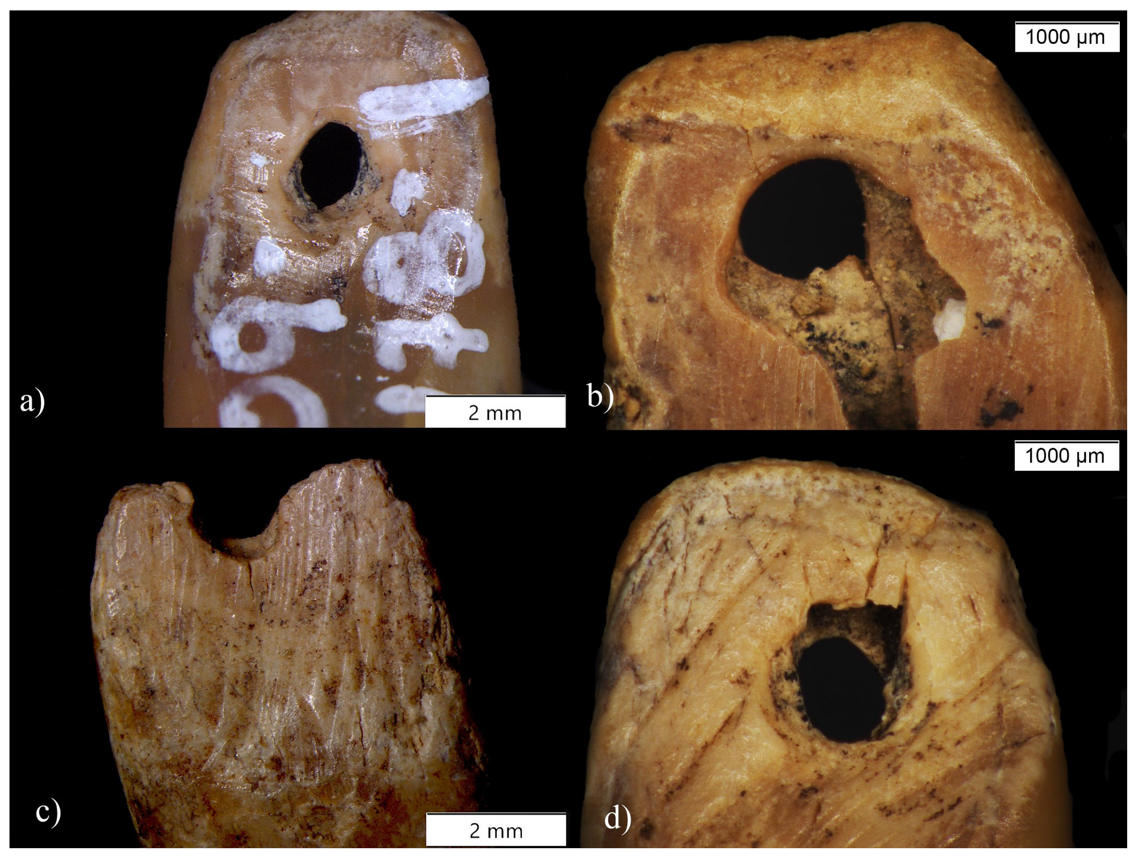 Quaternary 06 00050 g010