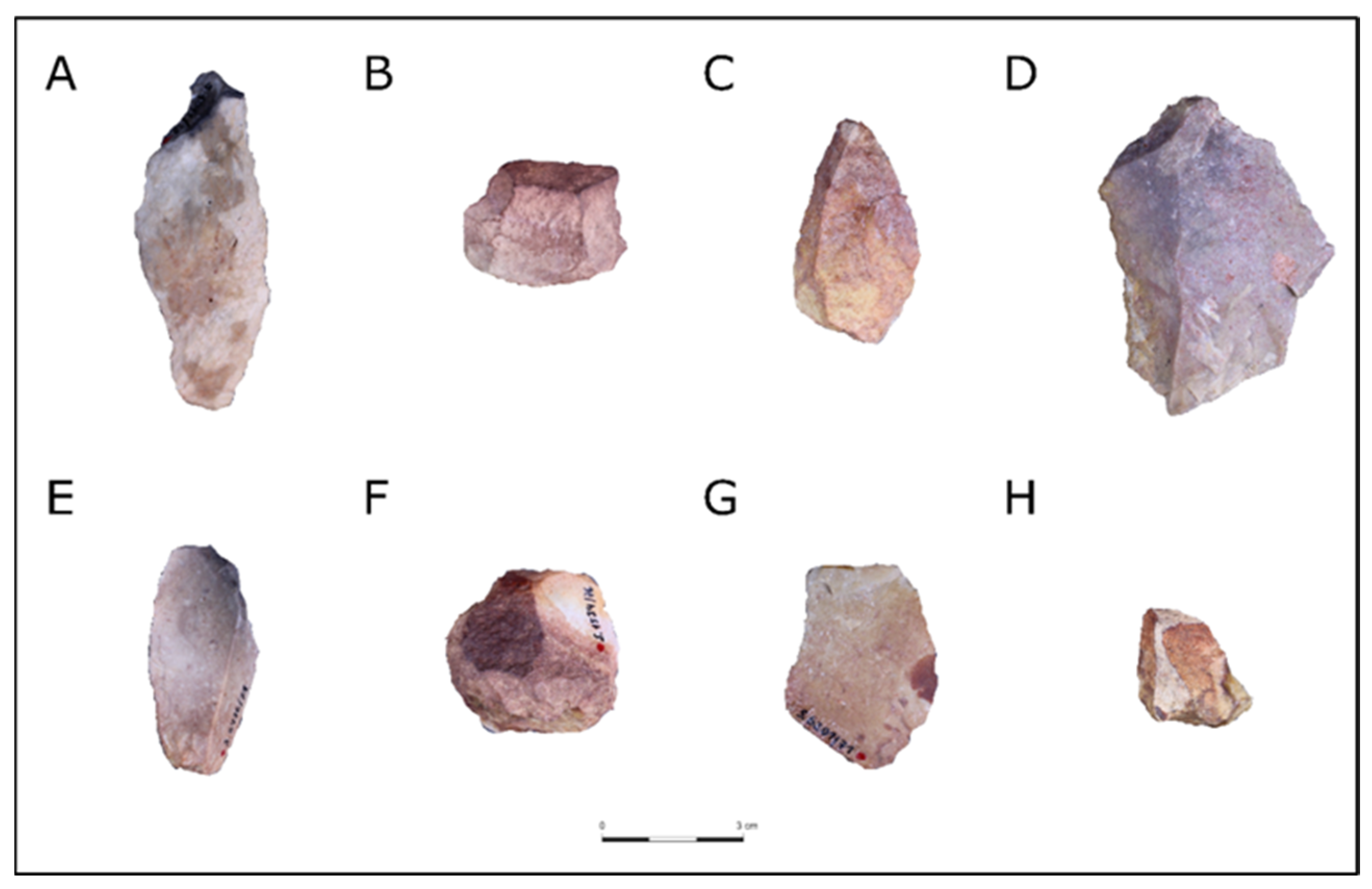 Quaternary 06 00052 g004 Quaternary 06 00052 g004