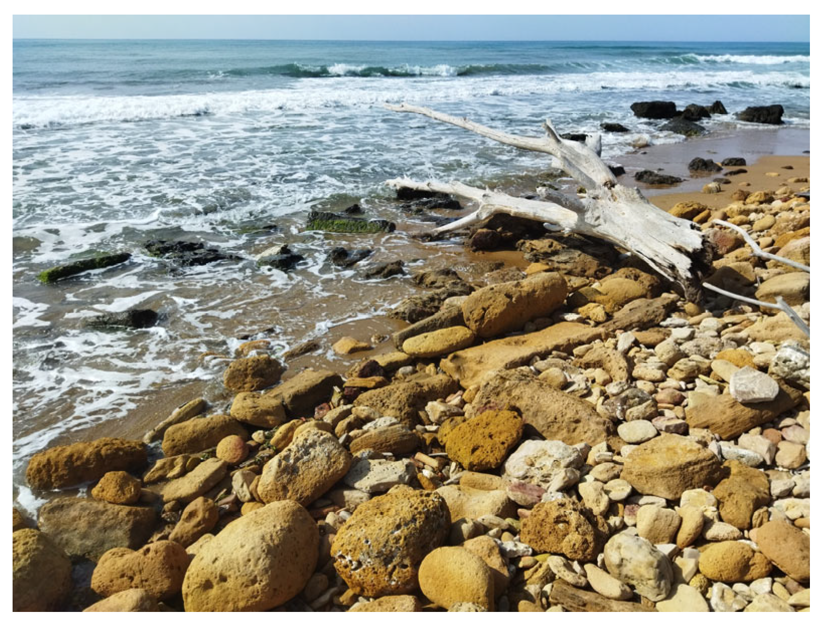 Quaternary 06 00055 g008b