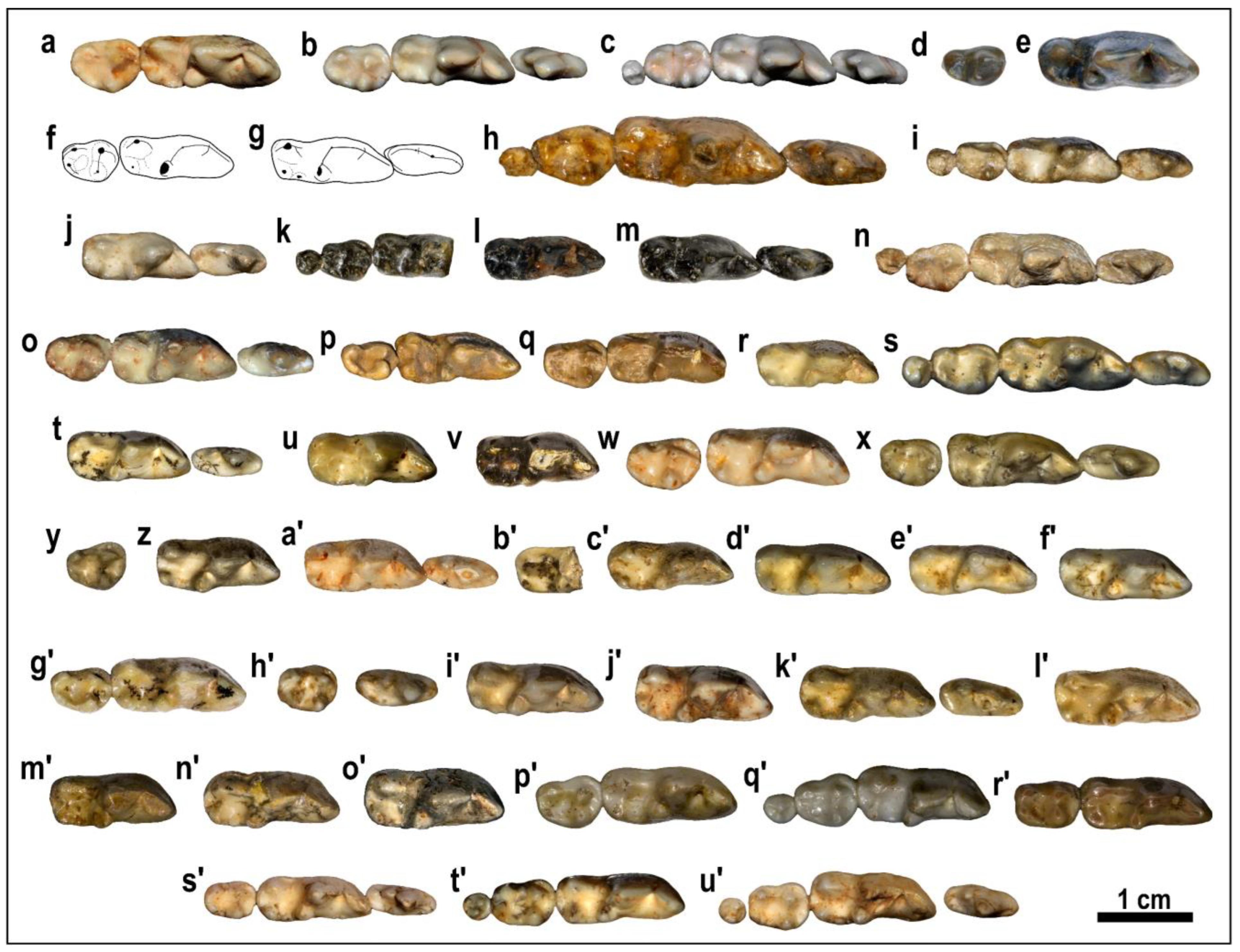 Quaternary 06 00057 g004