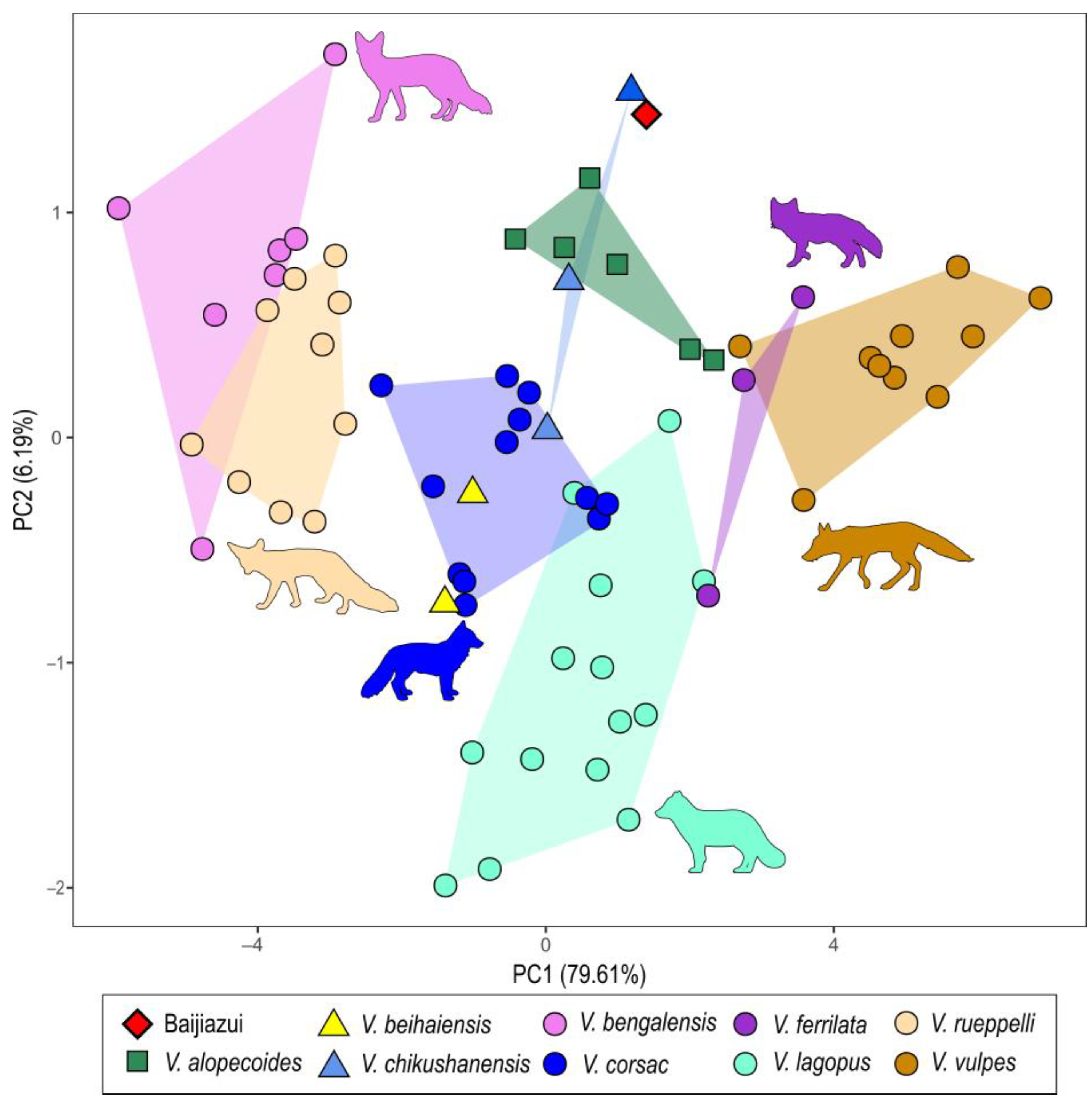 Quaternary 06 00057 g006