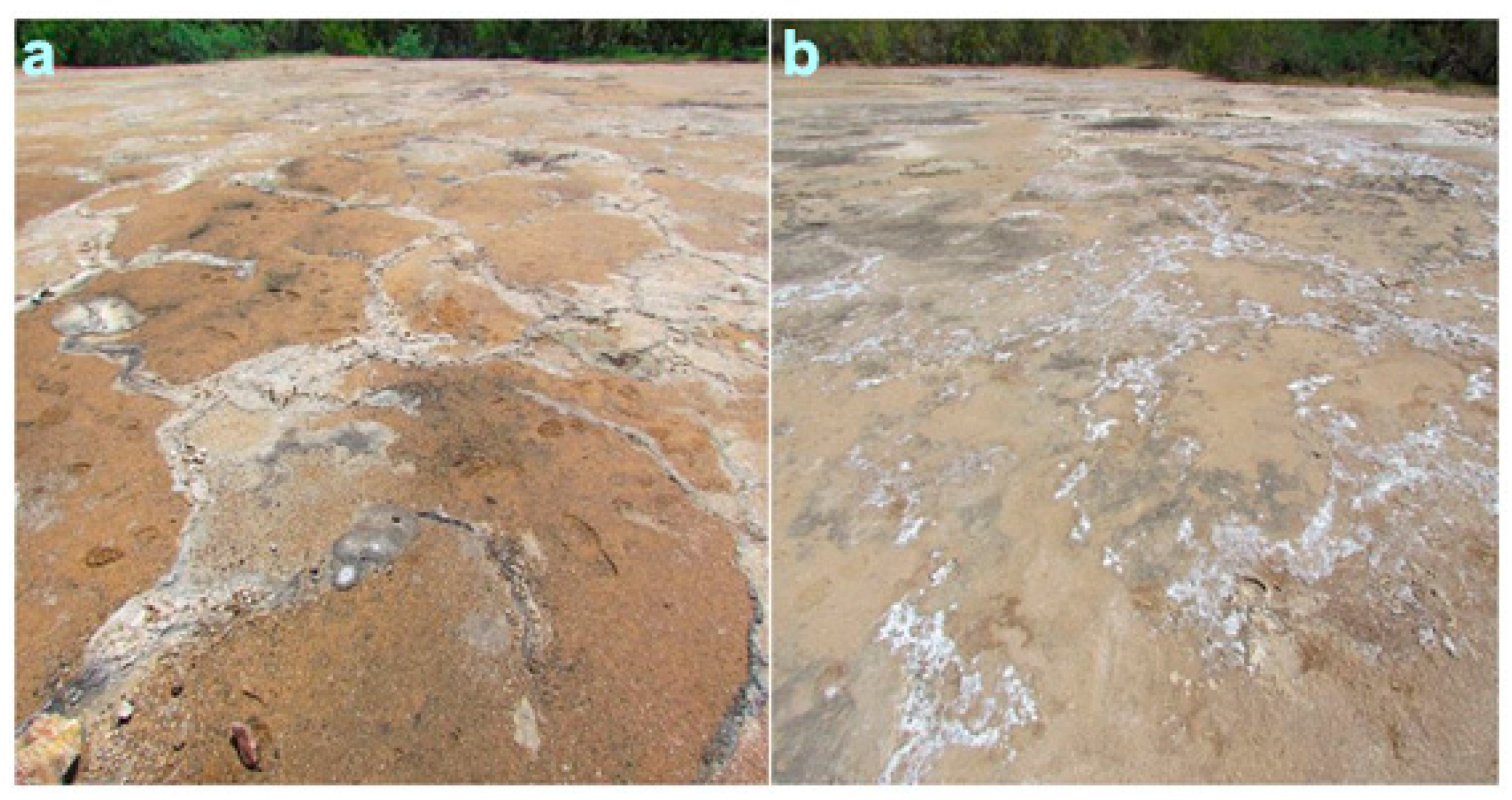 Quaternary 06 00058 g005