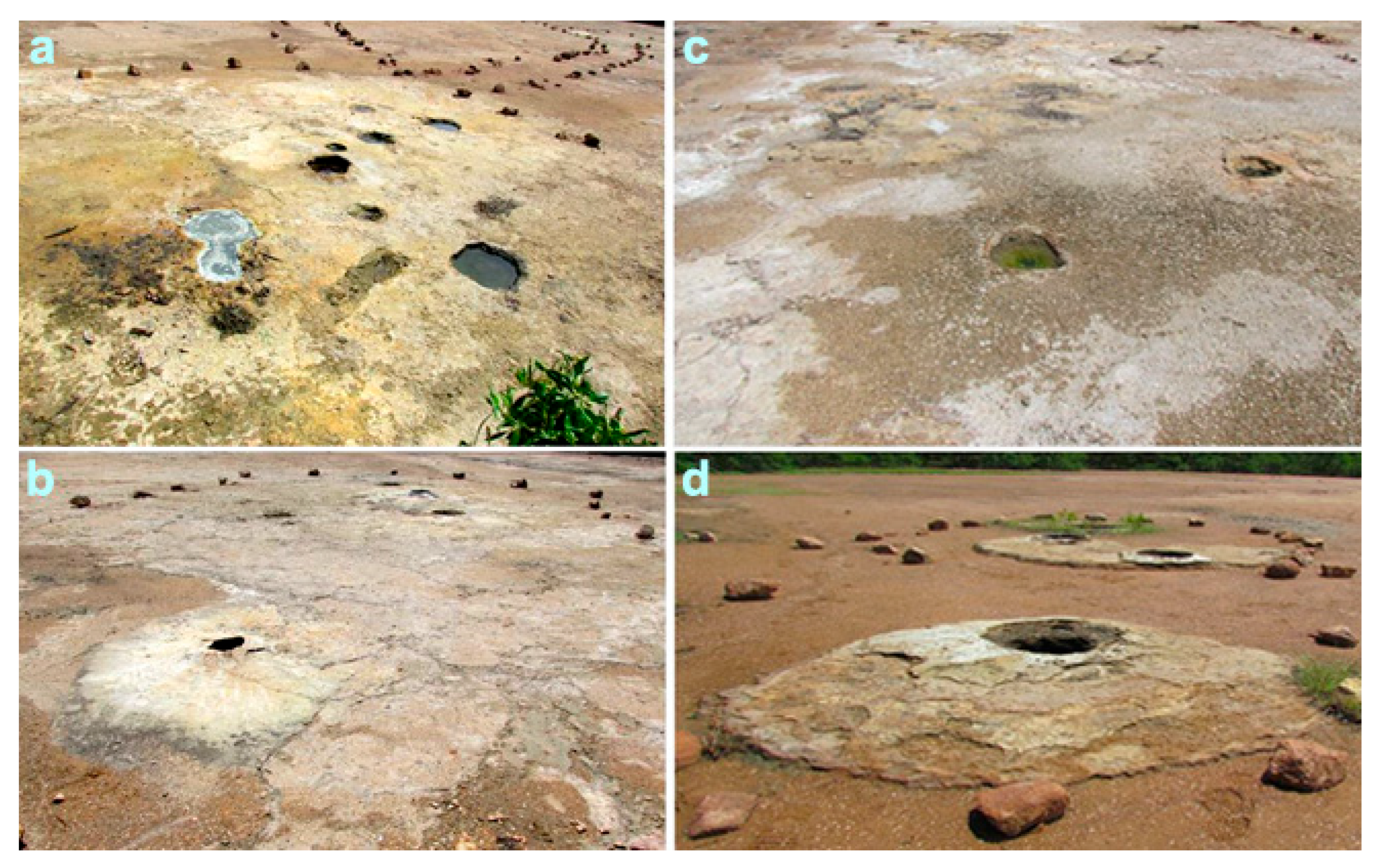 Quaternary 06 00058 g006