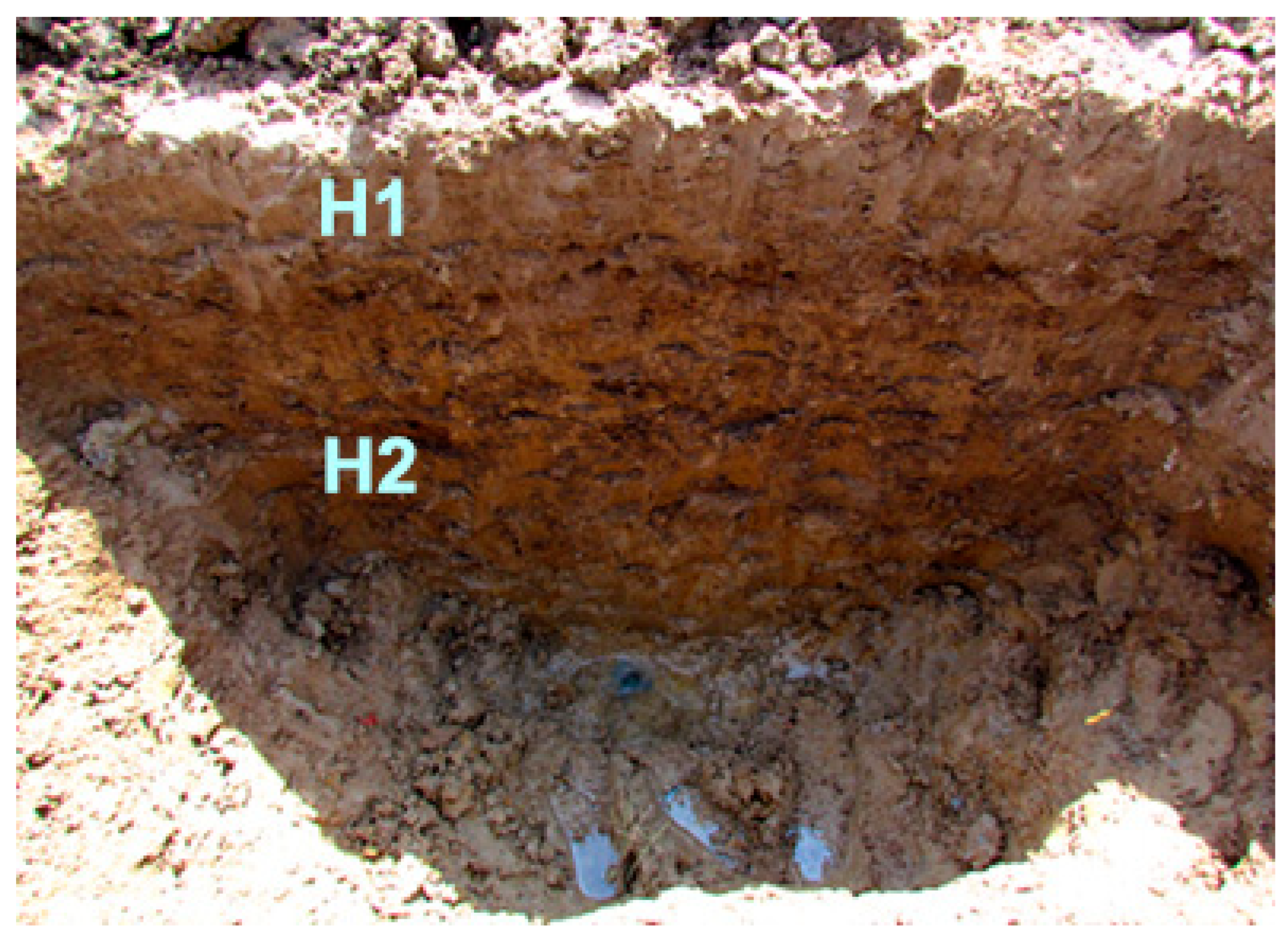 Quaternary 06 00058 g007