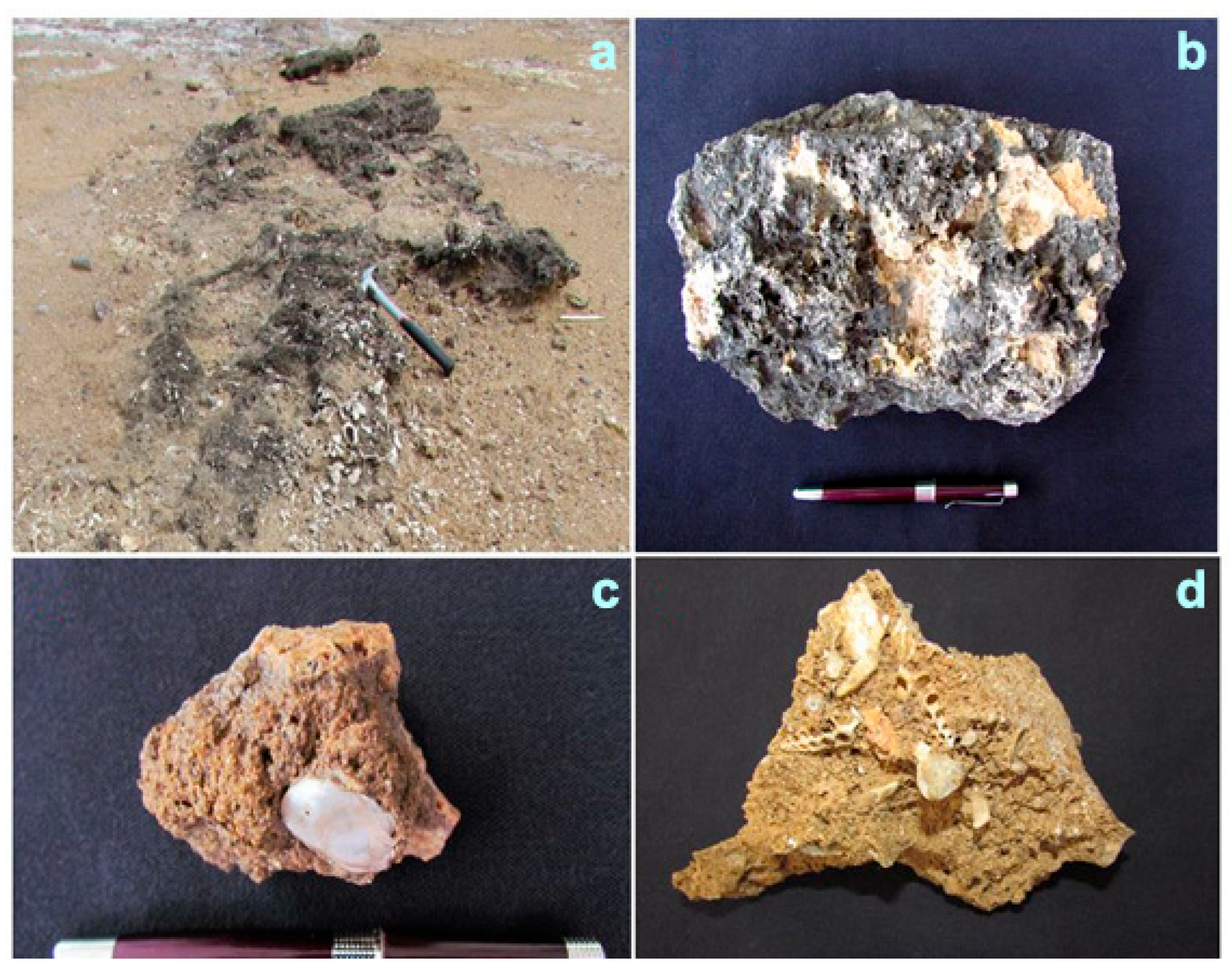 Quaternary 06 00058 g008