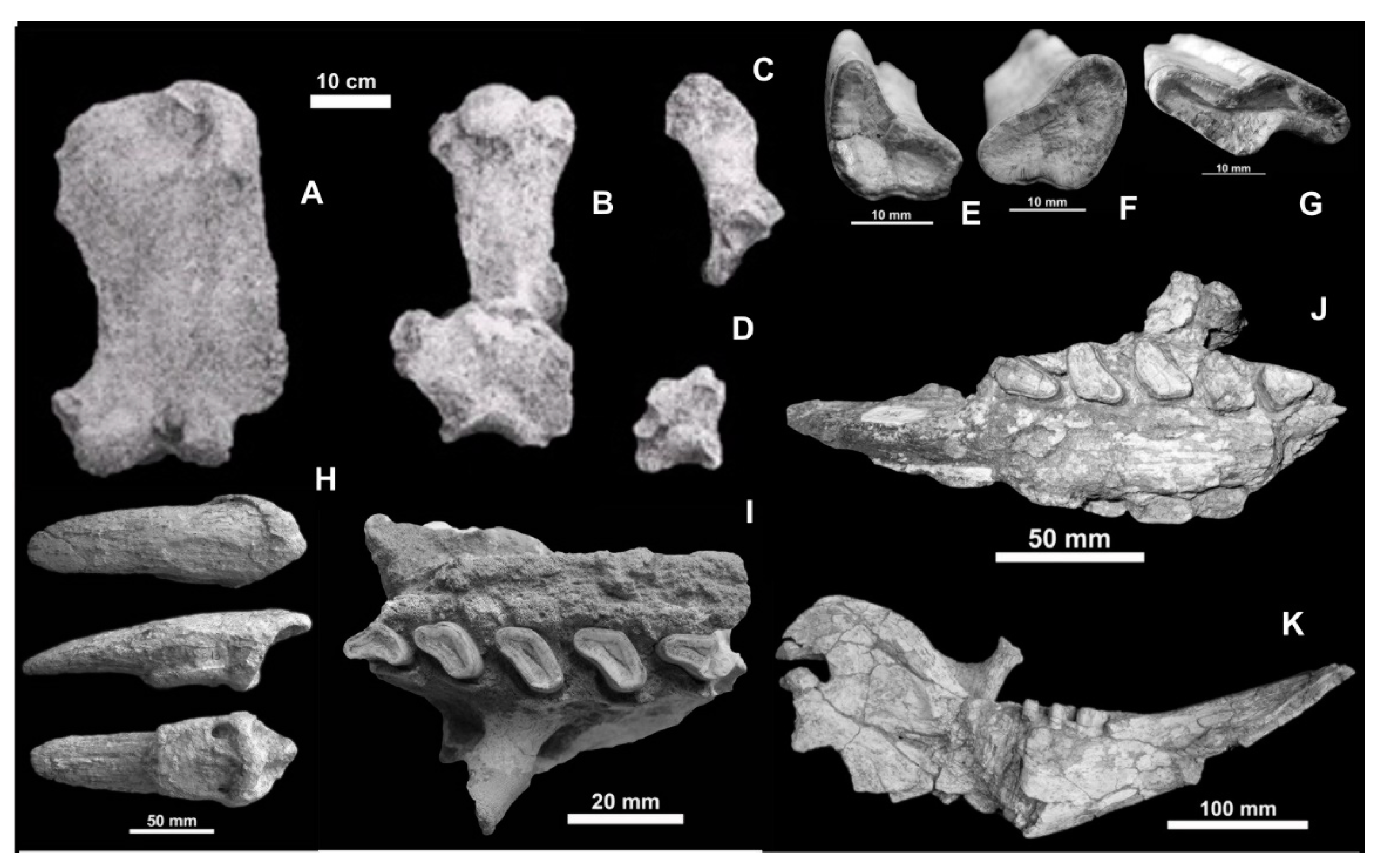 Quaternary 06 00059 g007
