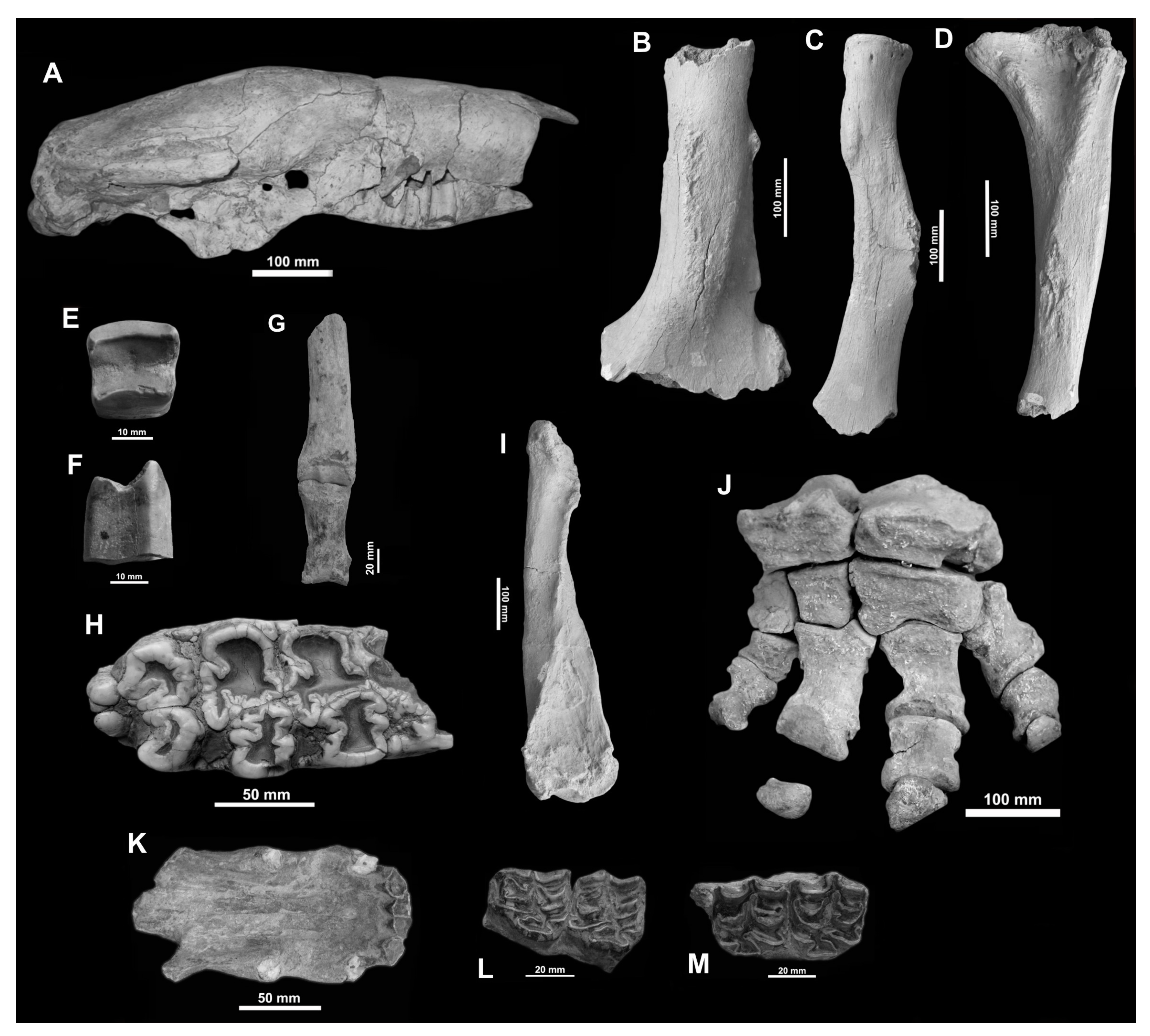 Quaternary 06 00059 g008