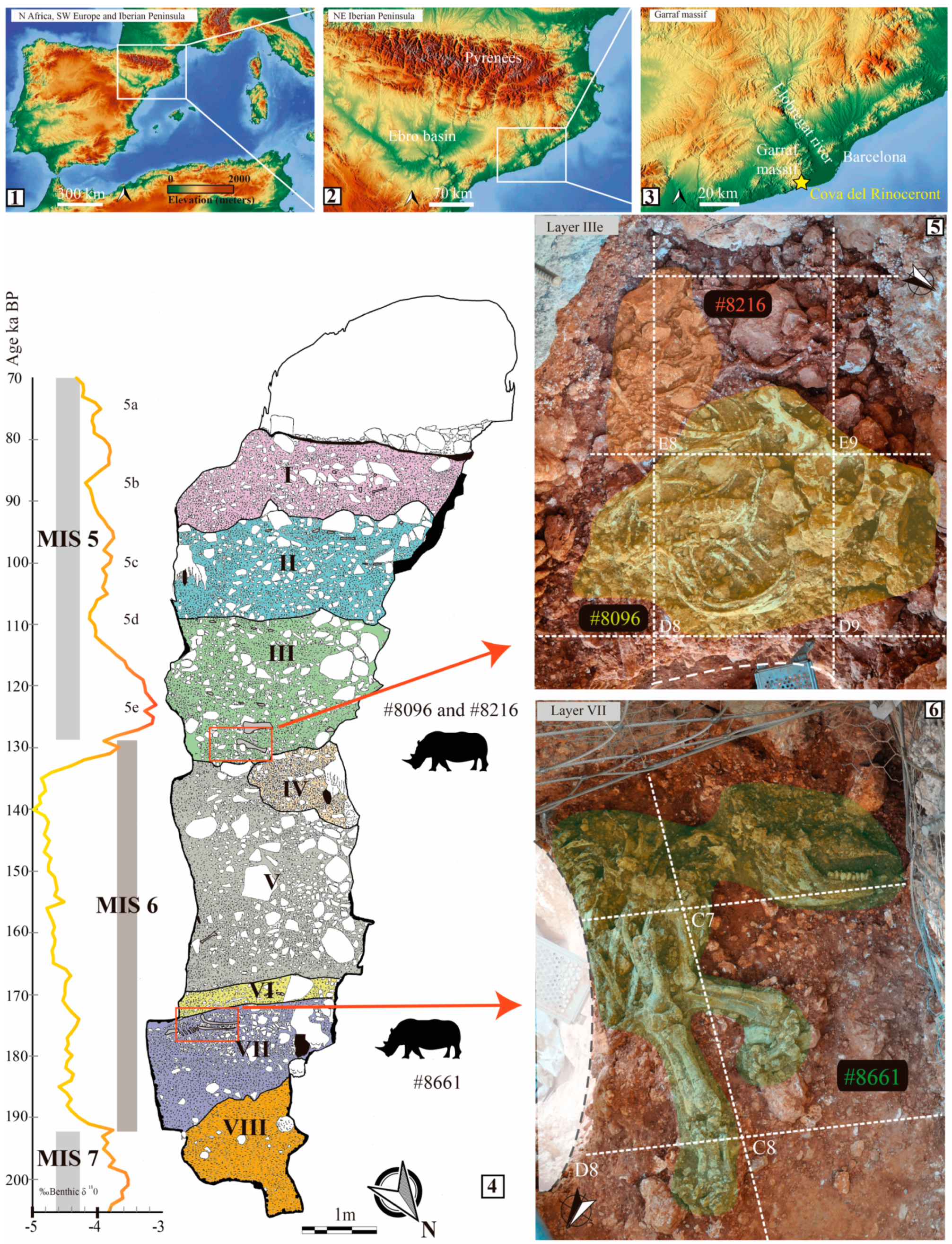 Quaternary 06 00060 g001