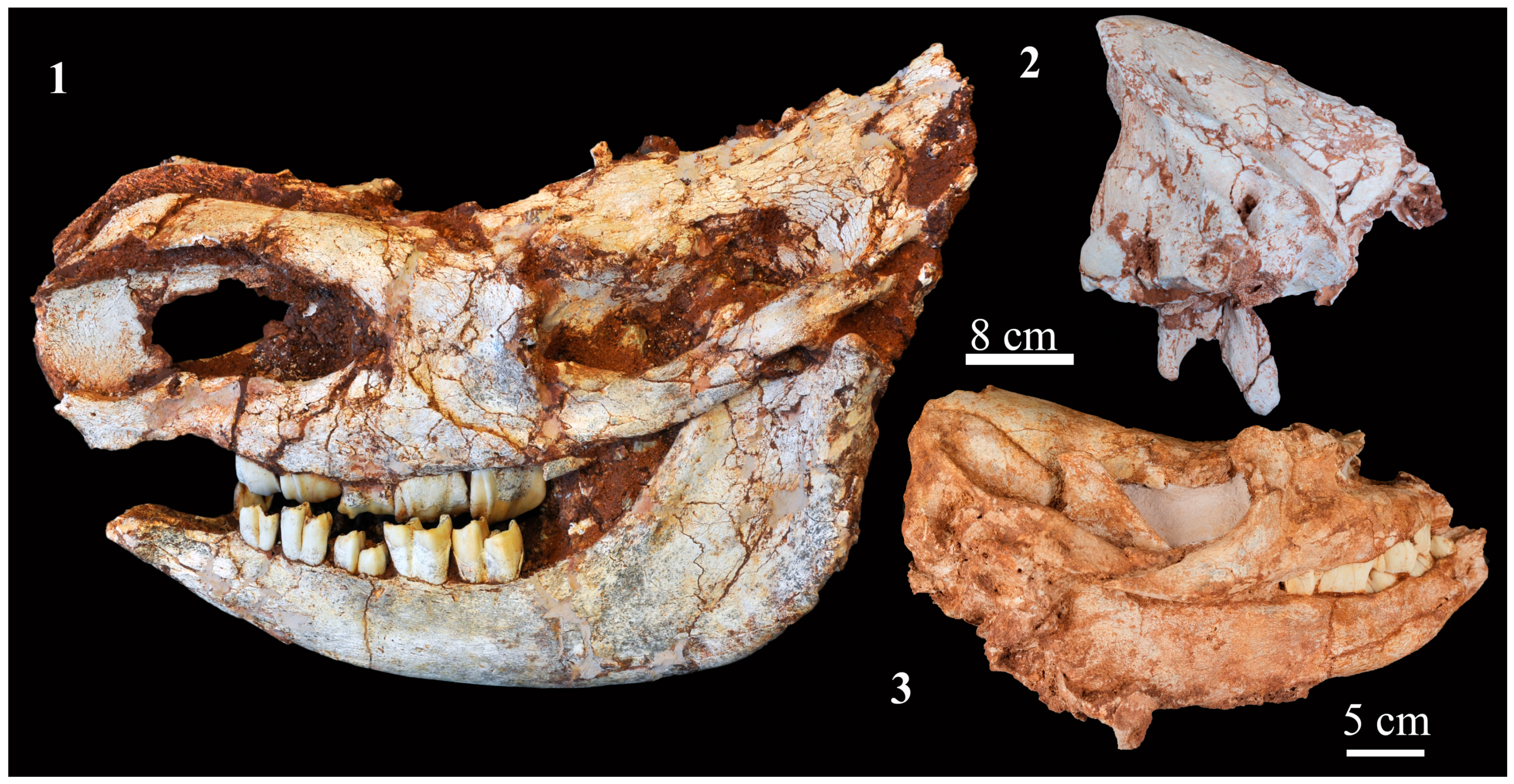 Quaternary 06 00060 g002