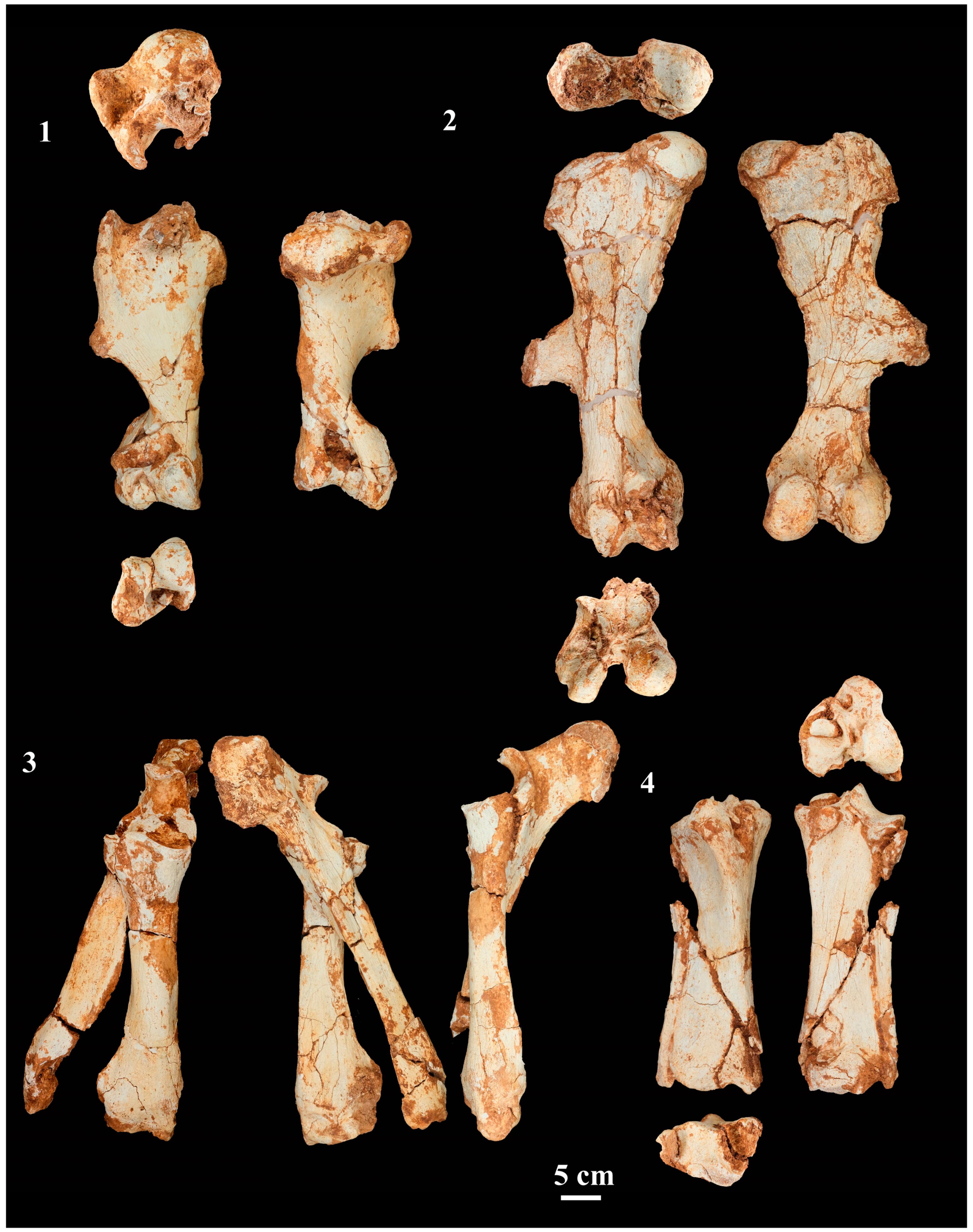 Quaternary 06 00060 g004