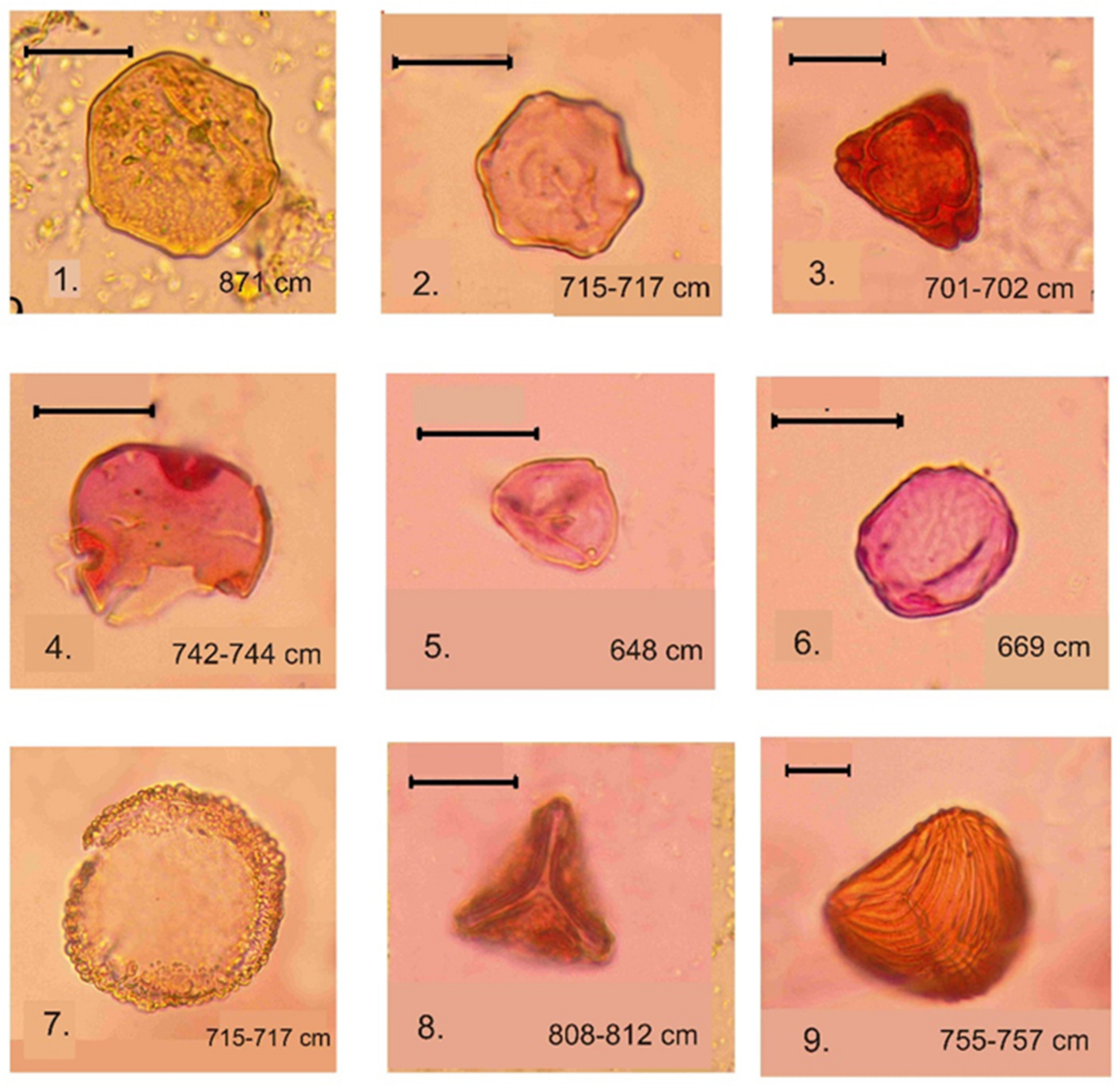Quaternary 07 00001 g006