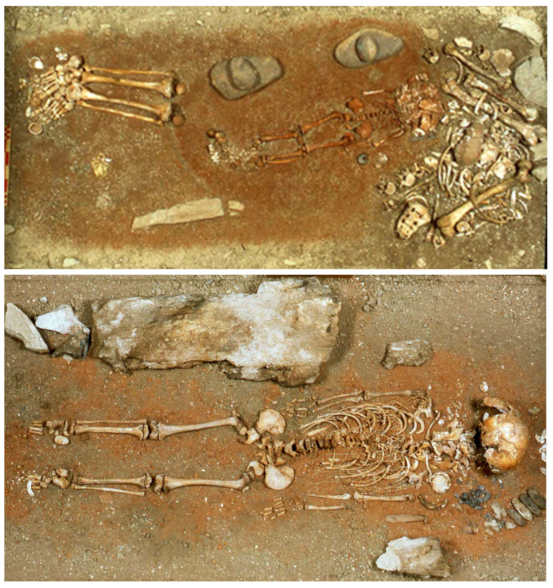 Quaternary 07 00002 g005 Quaternary 07 00002 g005