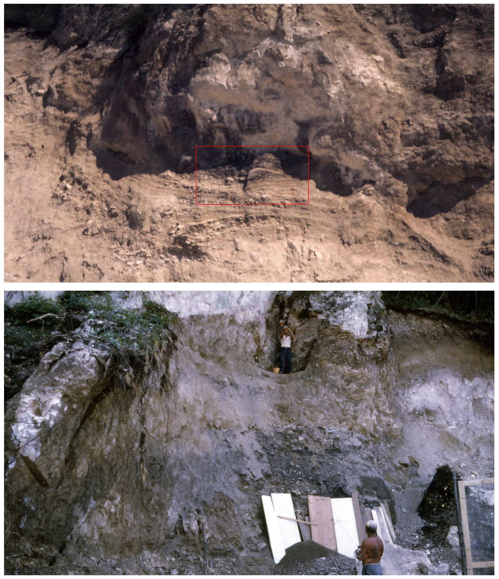 Quaternary 07 00002 g007 Quaternary 07 00002 g007