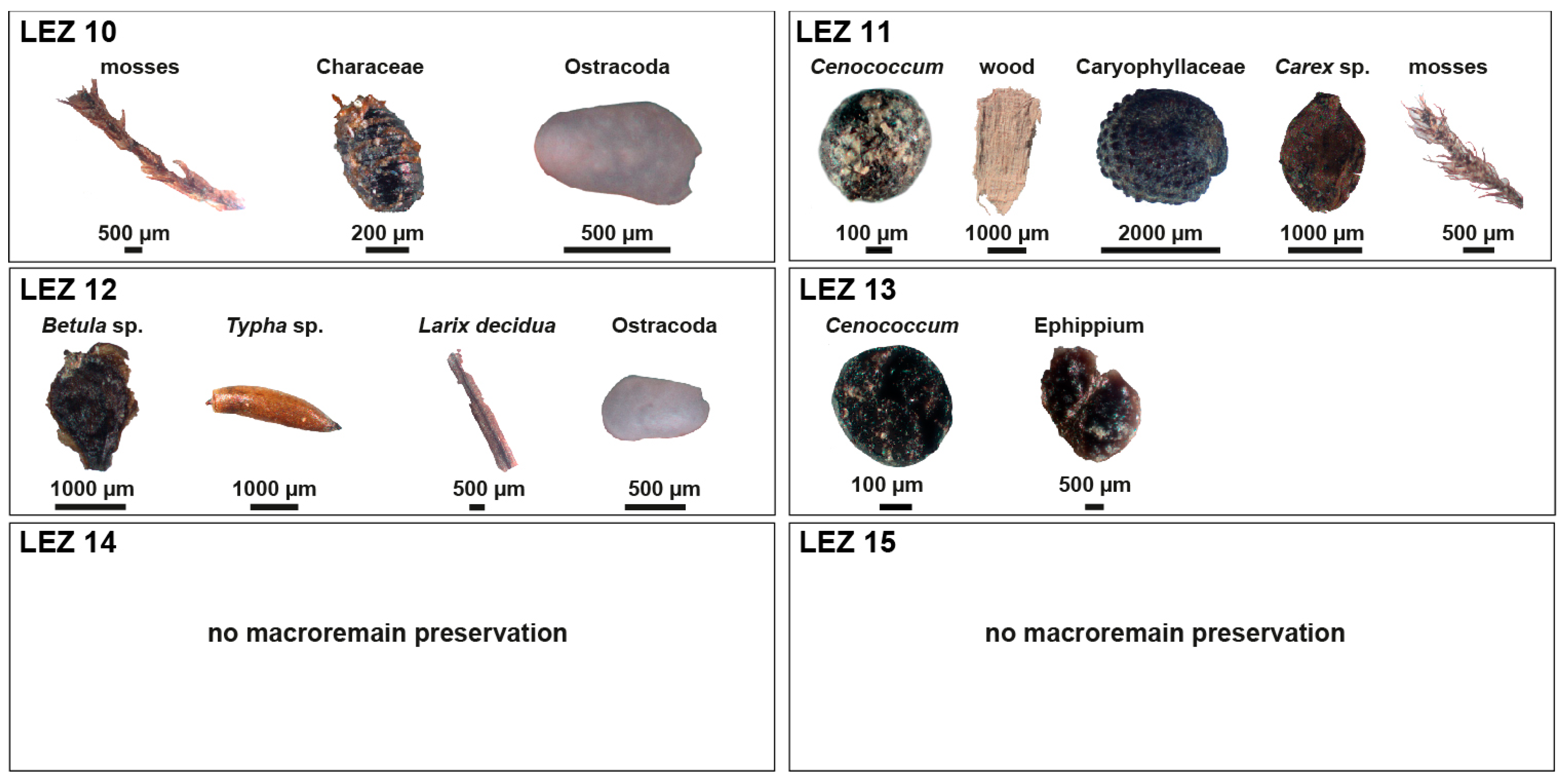 Quaternary 07 00008 g004 Quaternary 07 00008 g004