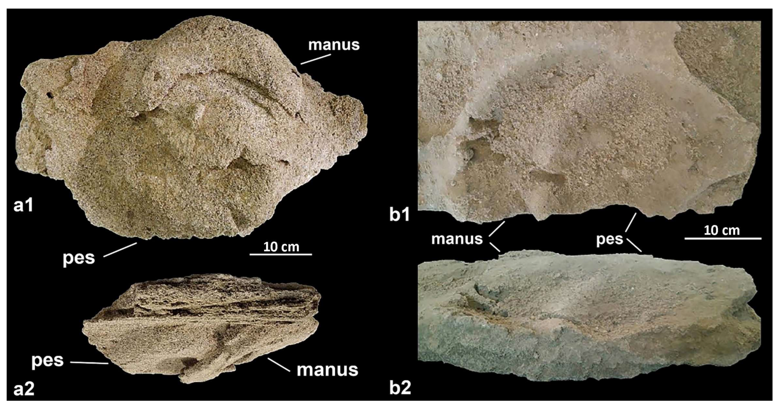 Quaternary 07 00010 g004