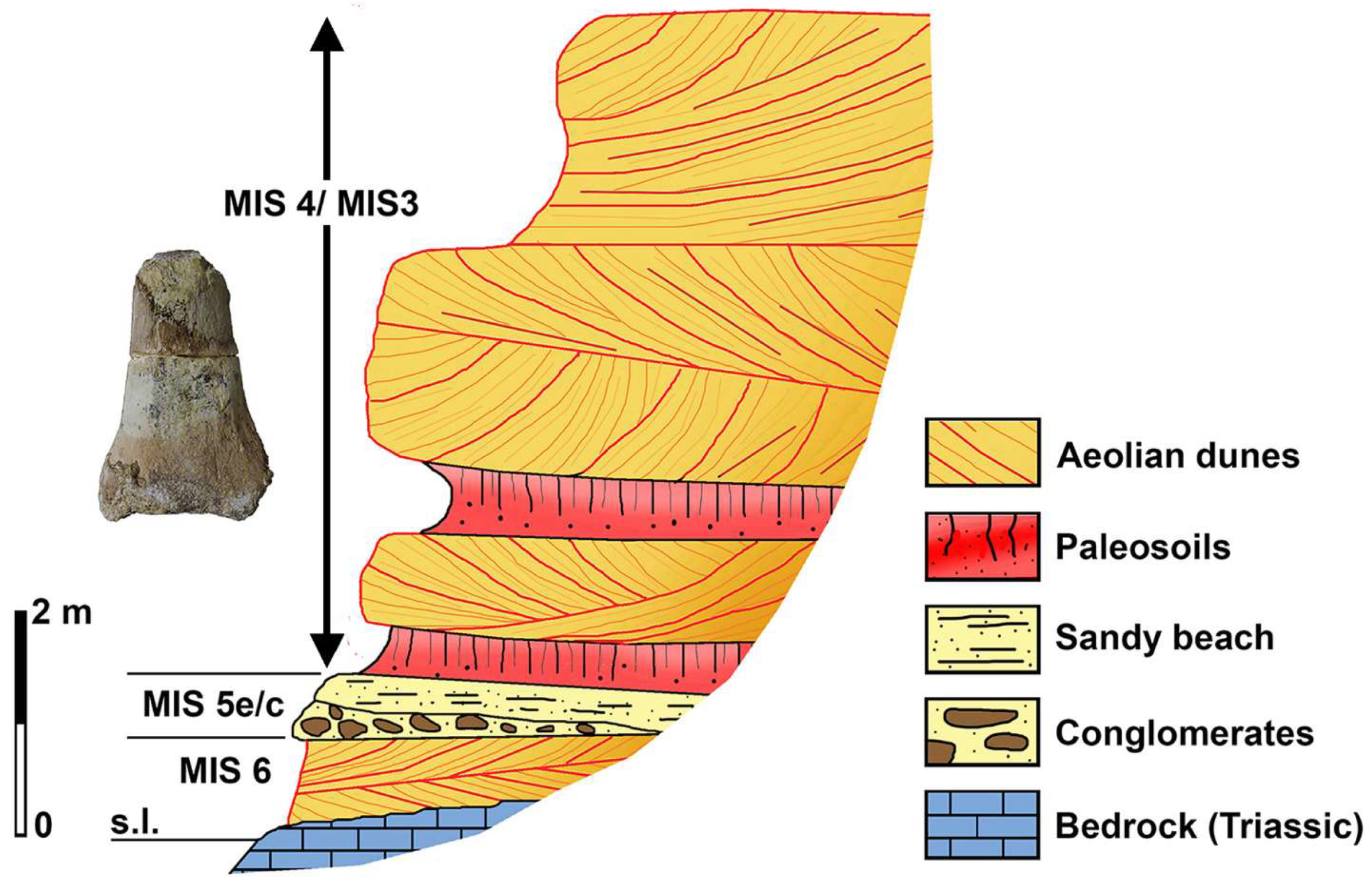 Quaternary 07 00010 g012