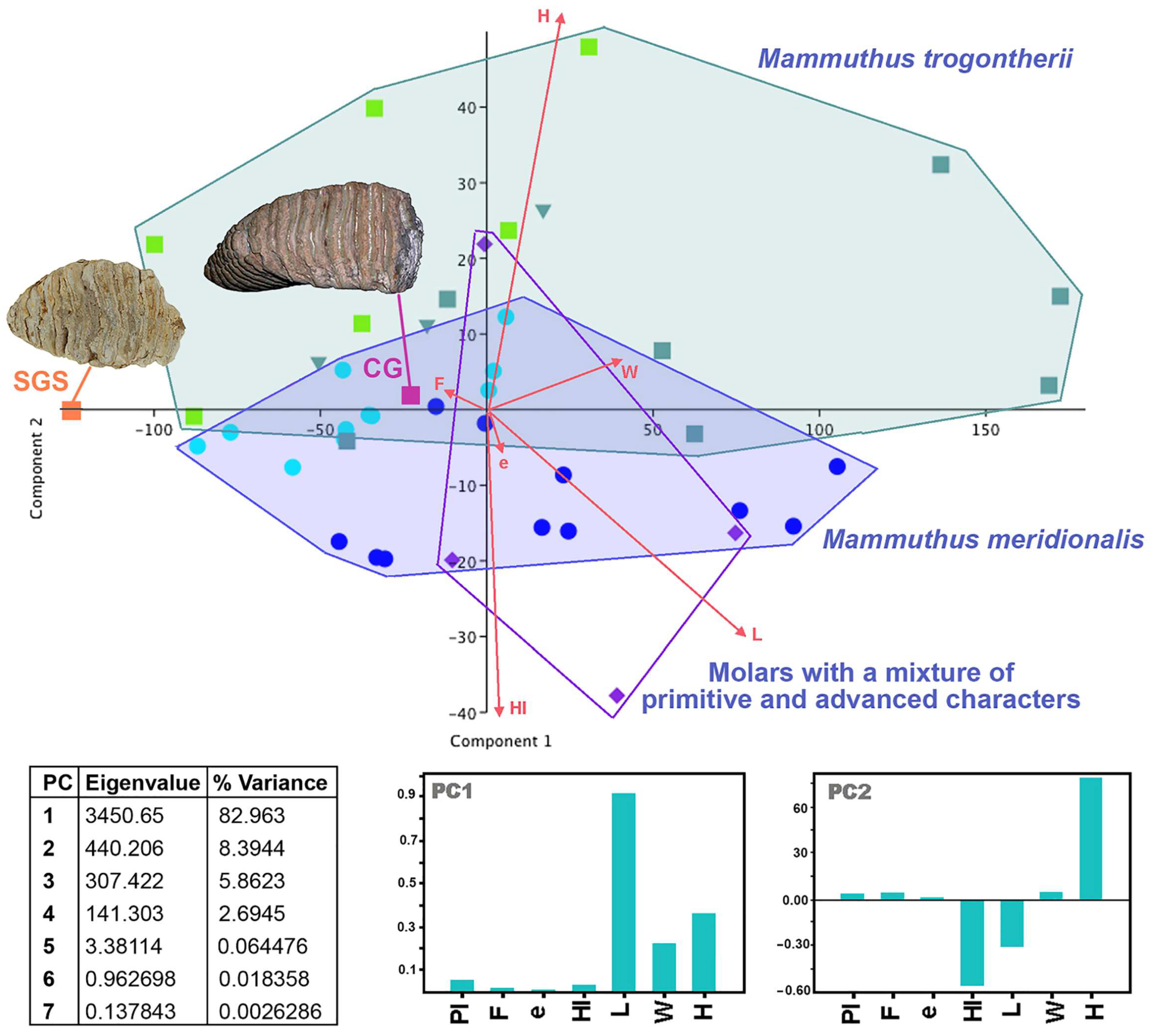 Quaternary 07 00010 g013