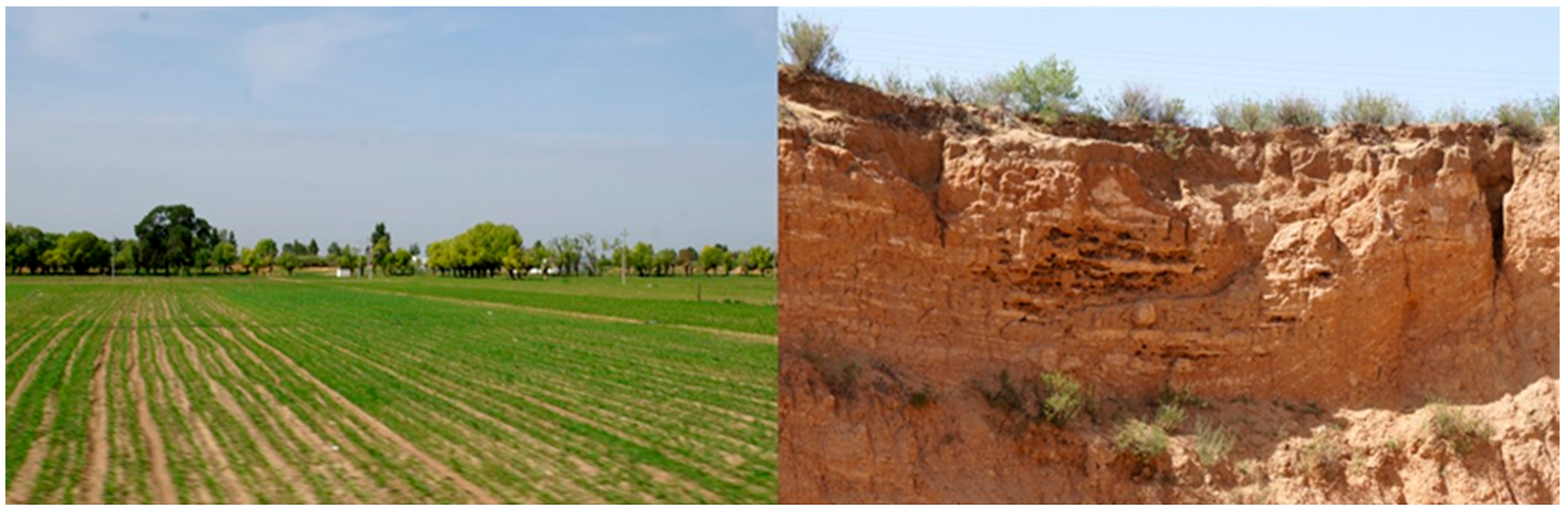 Quaternary 07 00015 g002