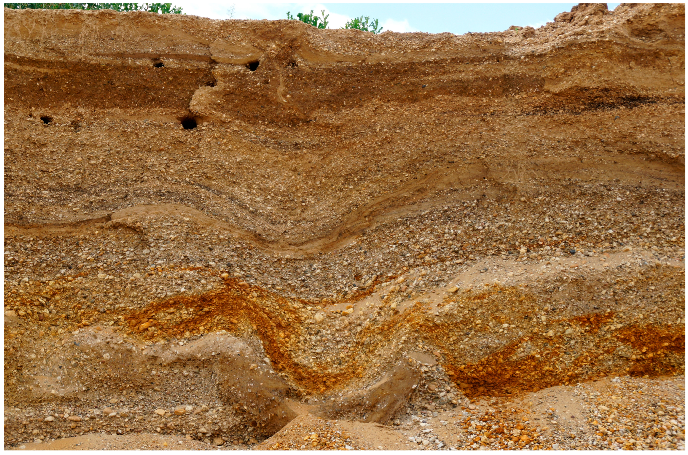 Quaternary 07 00015 g003