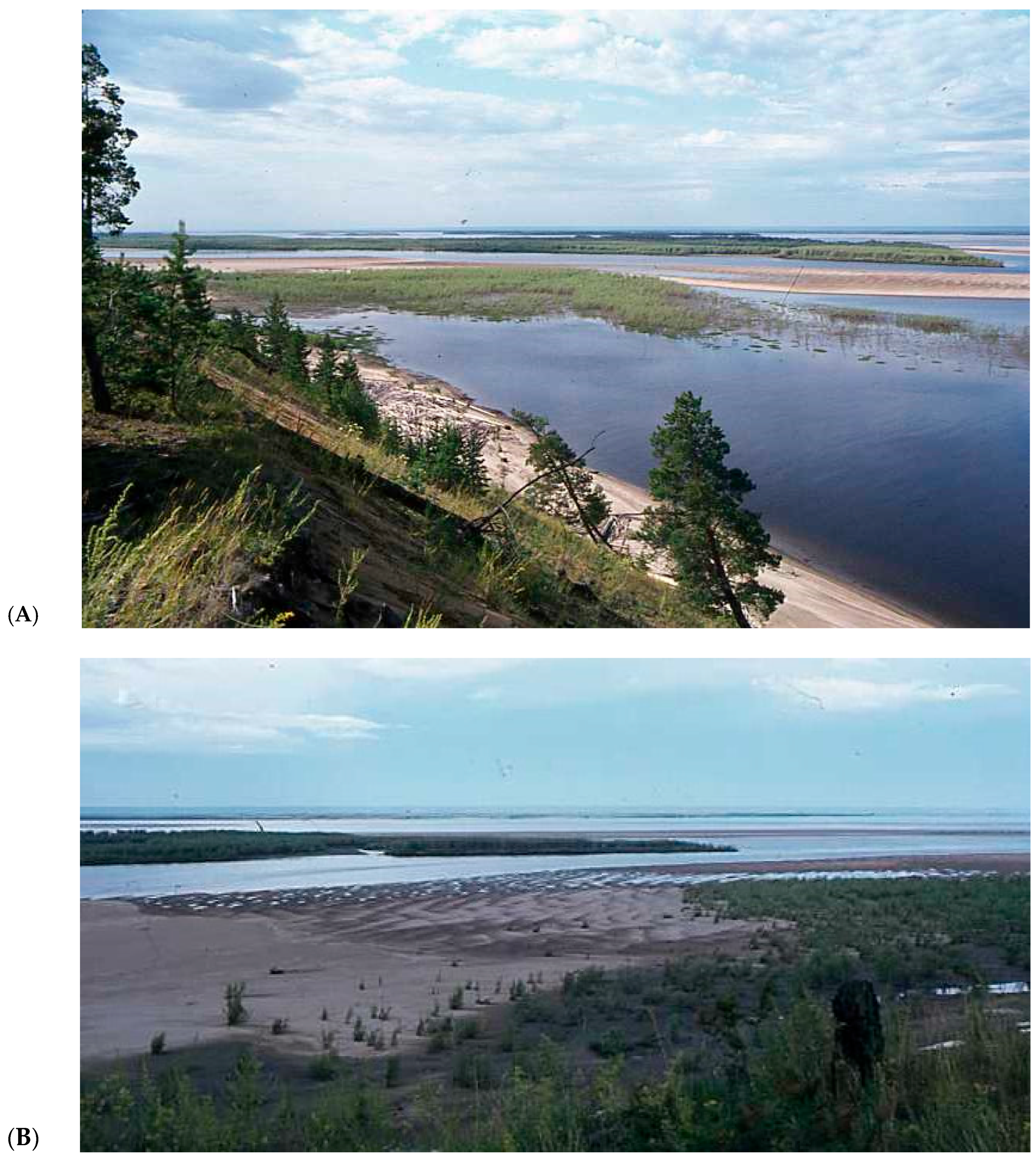 Quaternary 07 00015 g004a