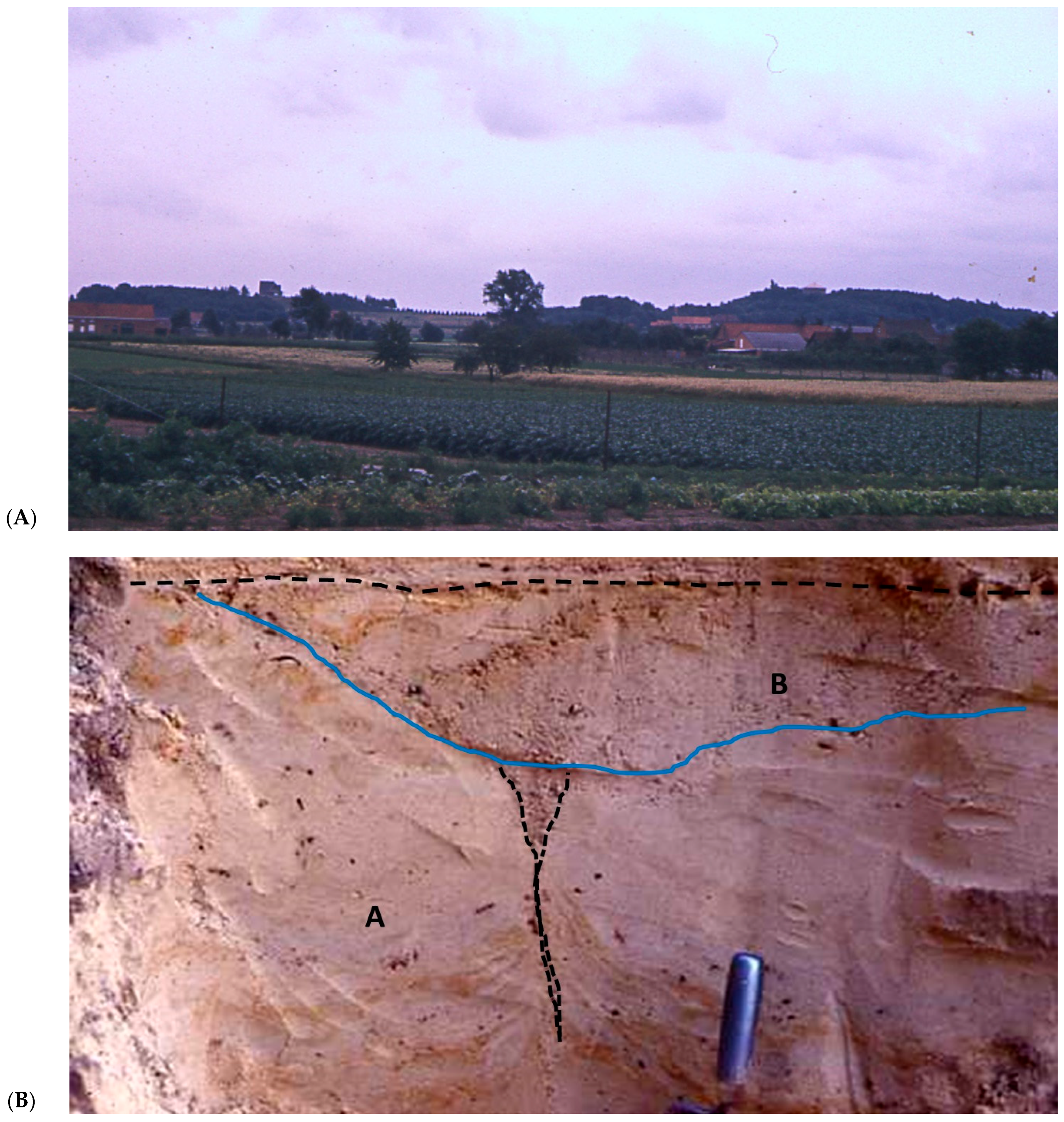 Quaternary 07 00015 g006