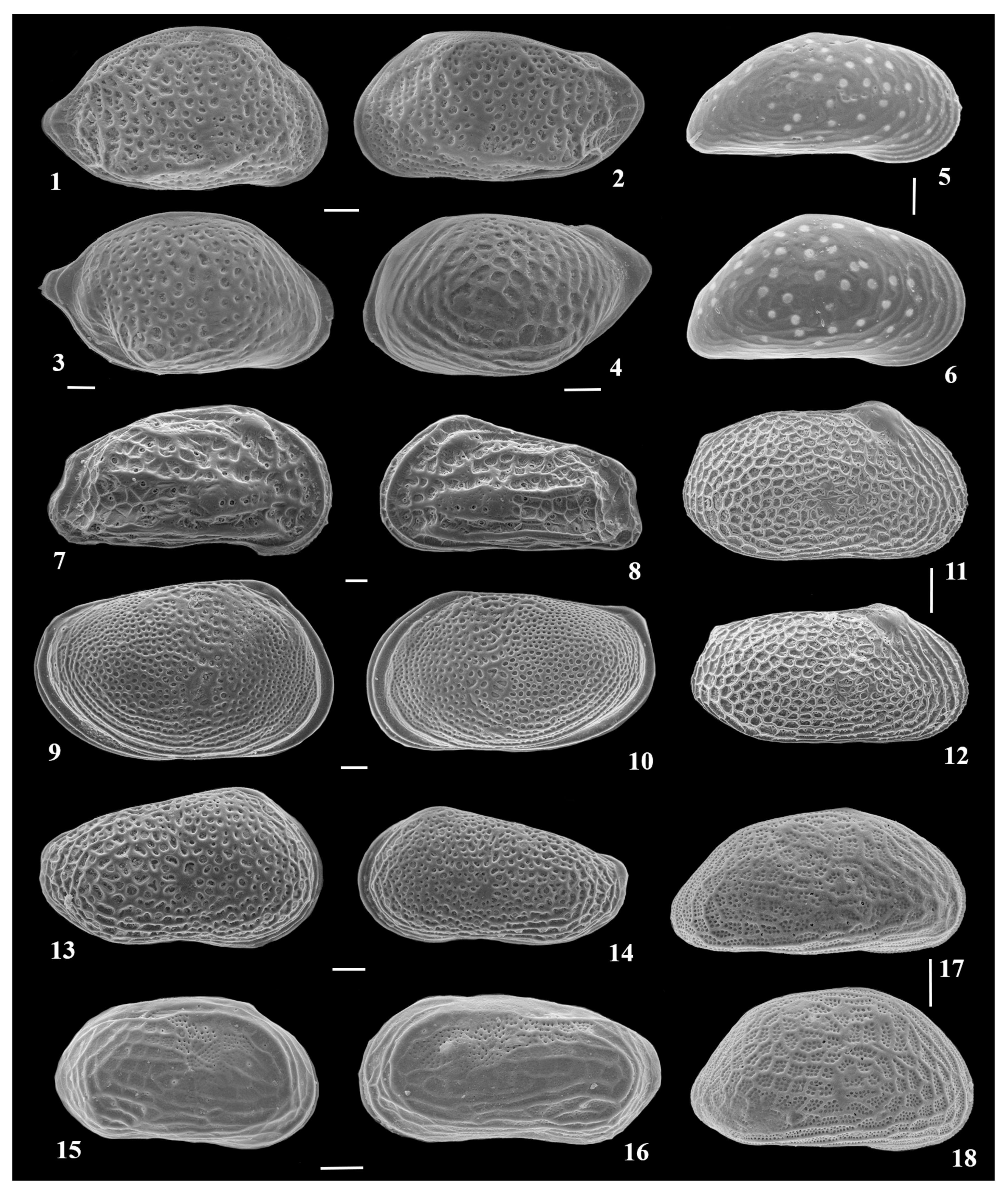 Quaternary 07 00016 g0a2