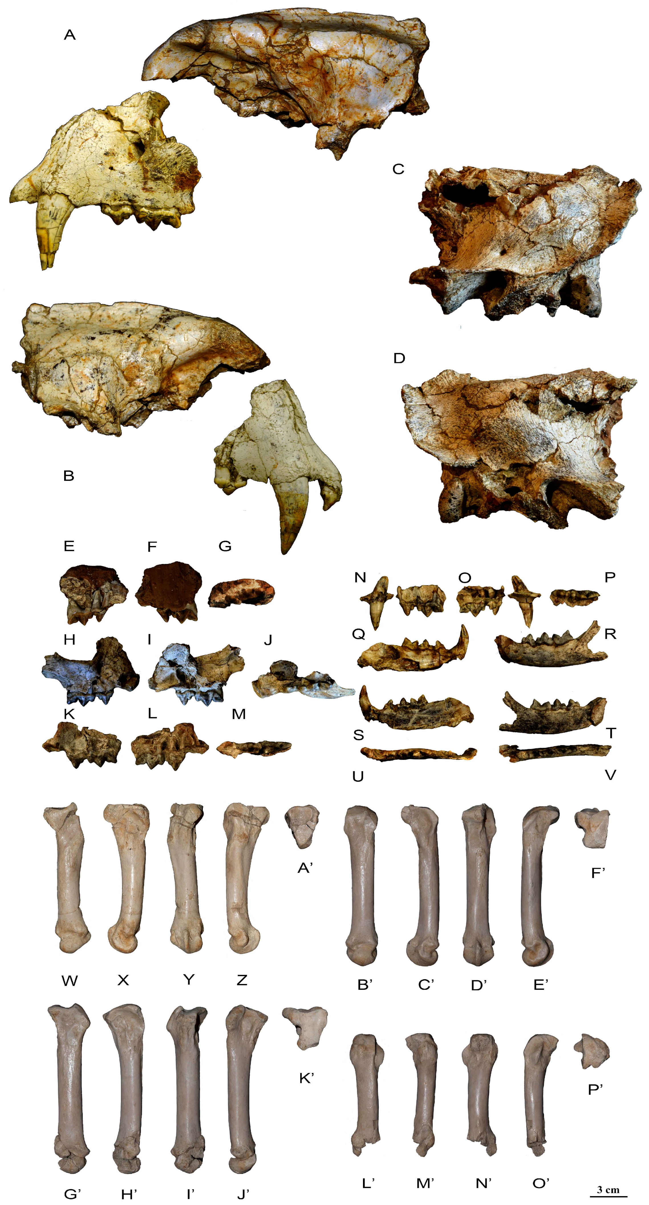 Quaternary 07 00040 g001