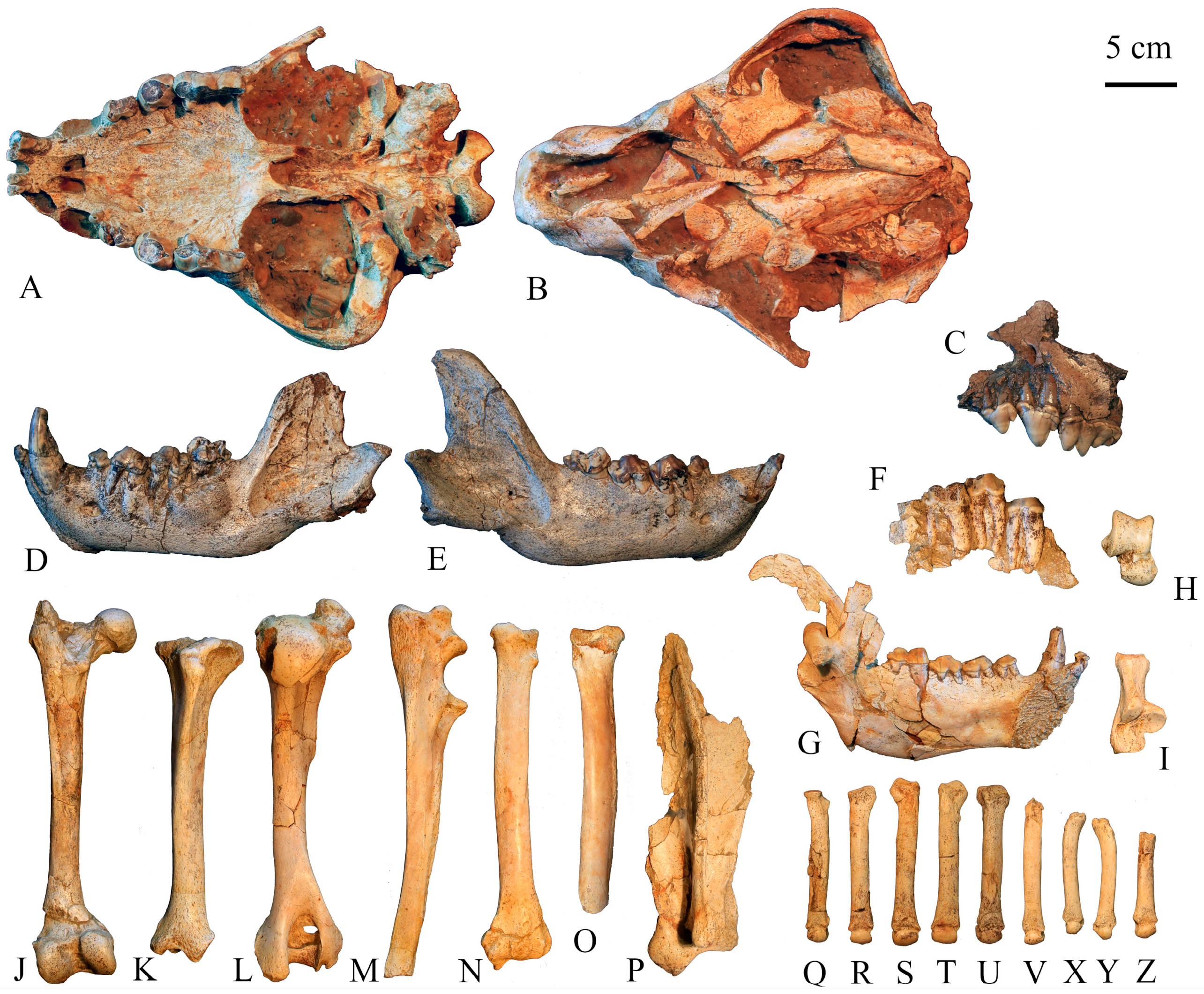 Quaternary 07 00040 g002