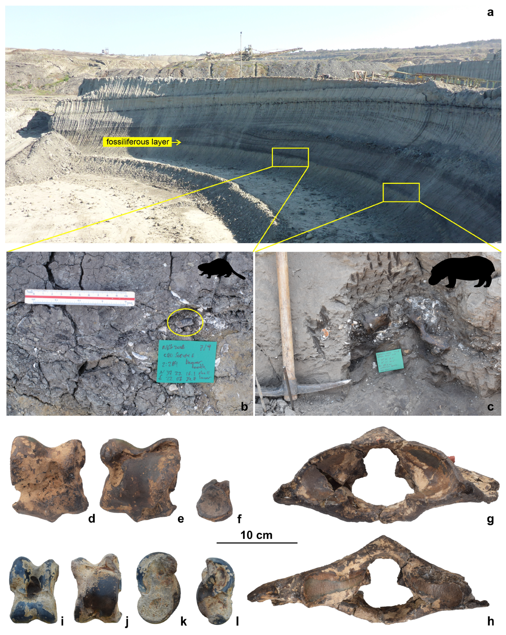 Quaternary 07 00041 g006 Quaternary 07 00041 g006