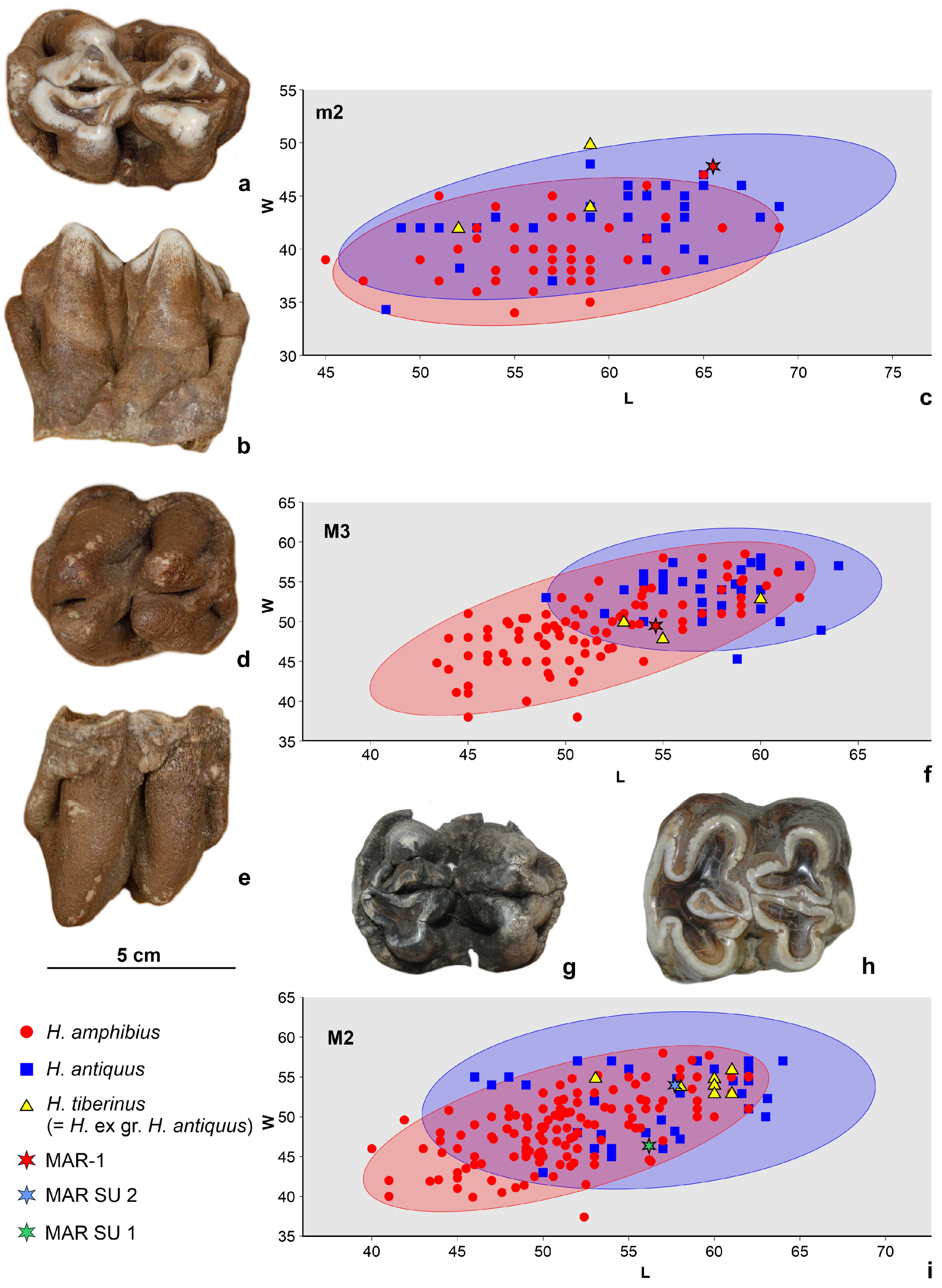 Quaternary 07 00041 g009 Quaternary 07 00041 g009