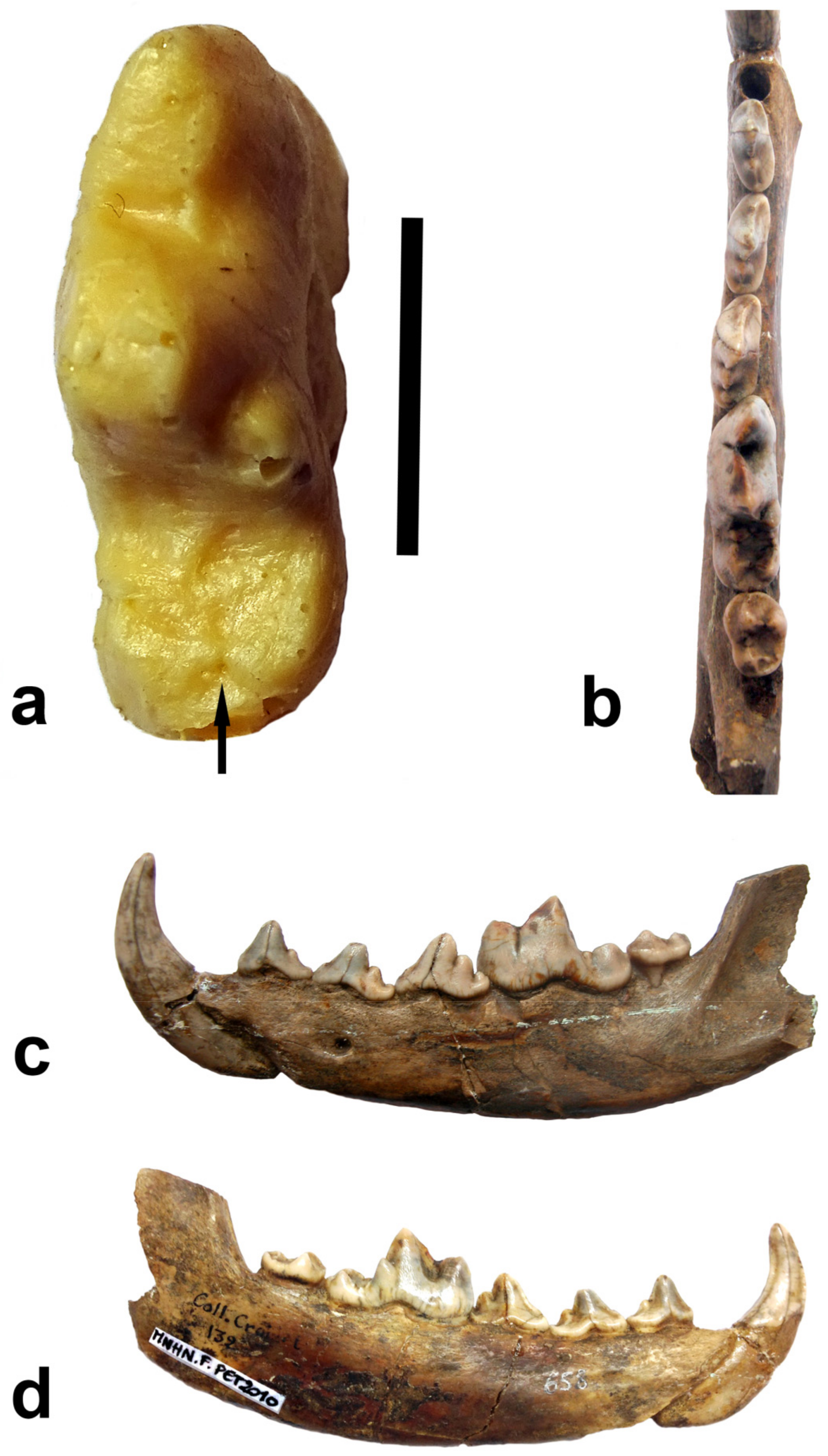 Quaternary 07 00043 g001