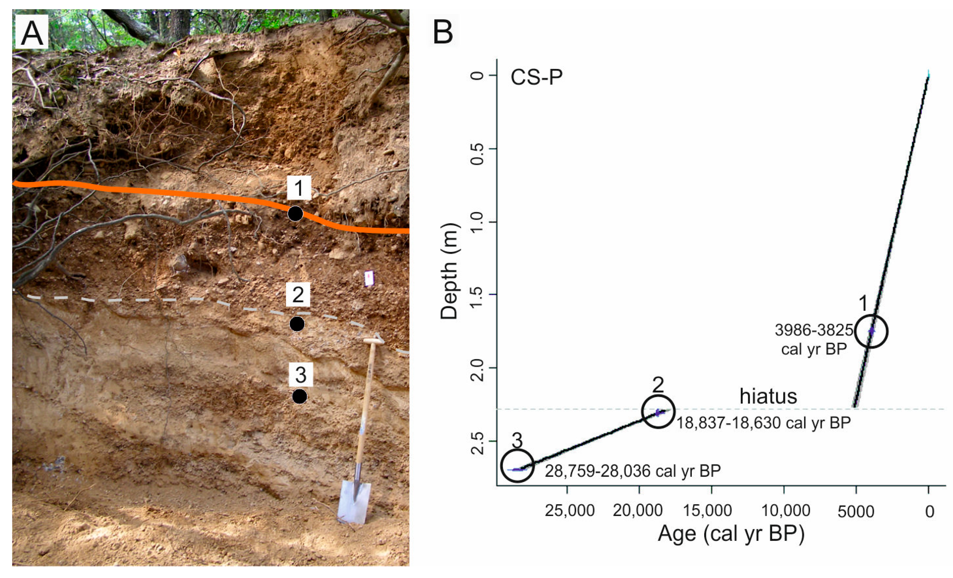 Quaternary 07 00047 g004