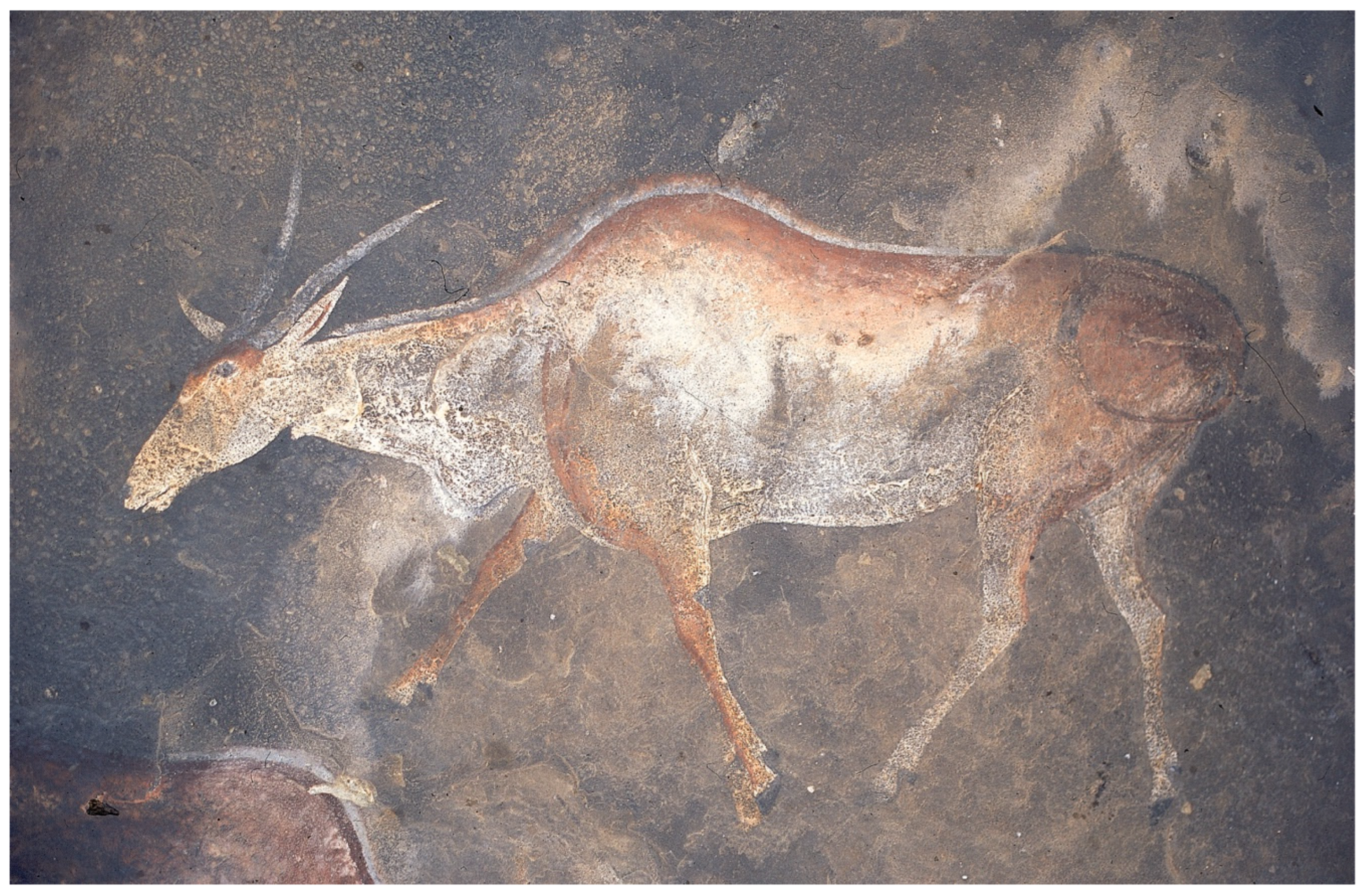 Quaternary 07 00048 g006