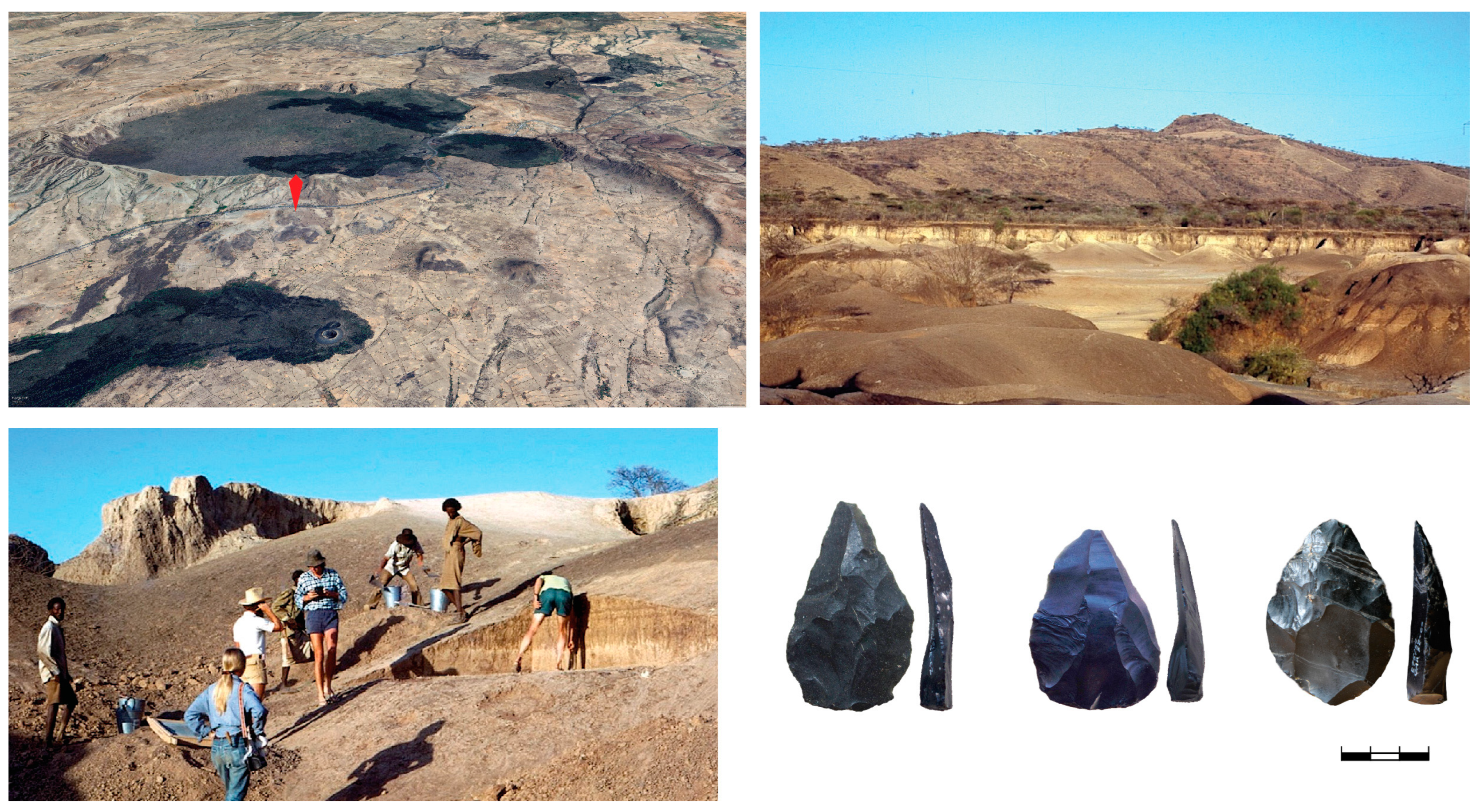 Quaternary 07 00050 g002