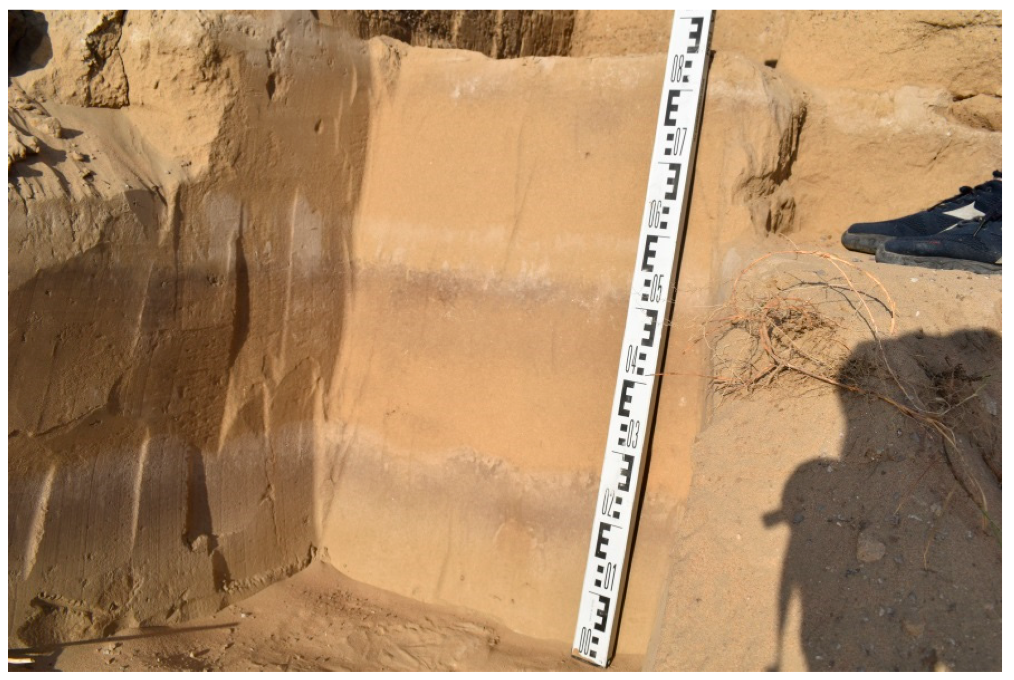 Quaternary 07 00055 g010