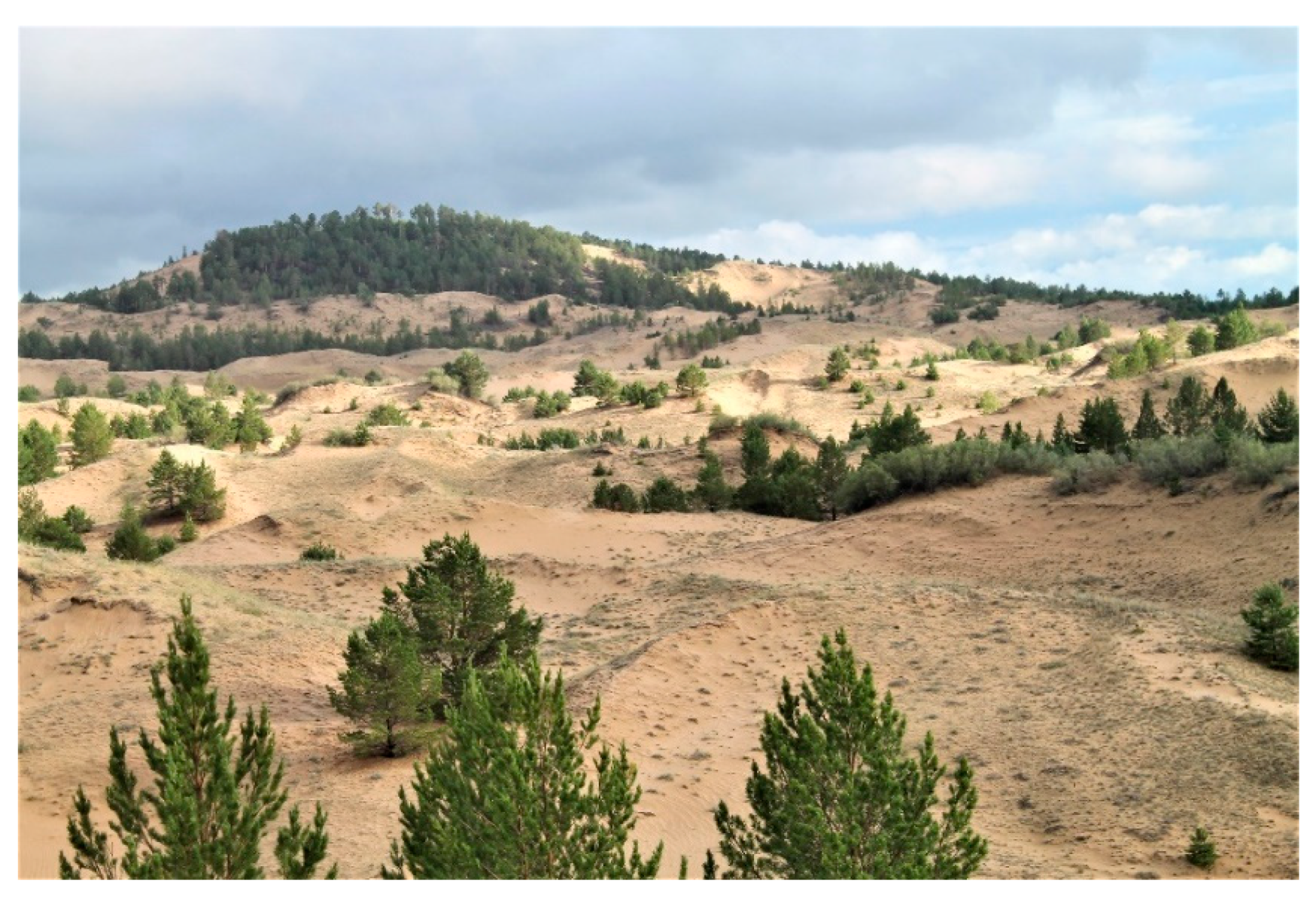 Quaternary 07 00055 g011