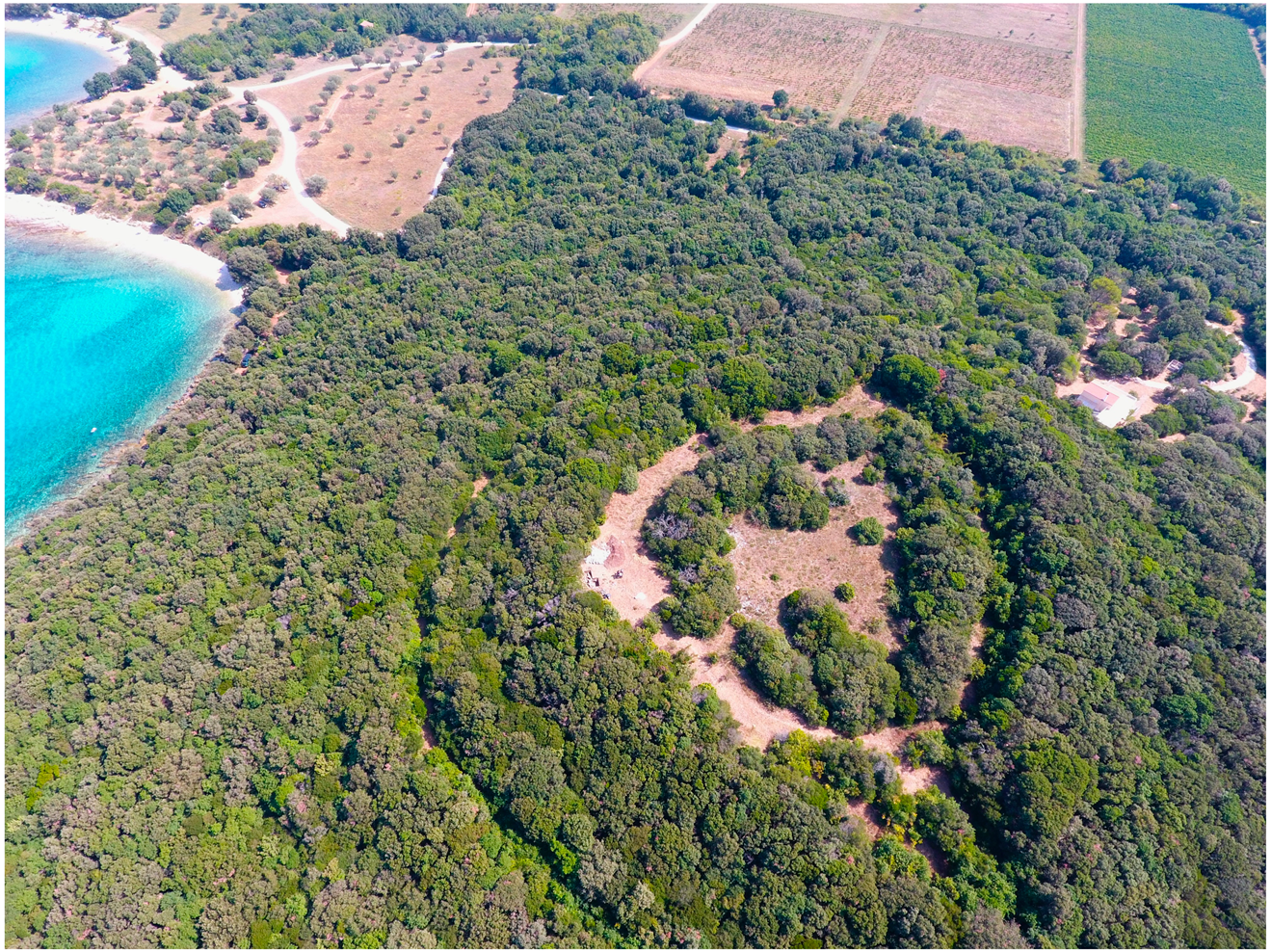 Quaternary 07 00056 g002