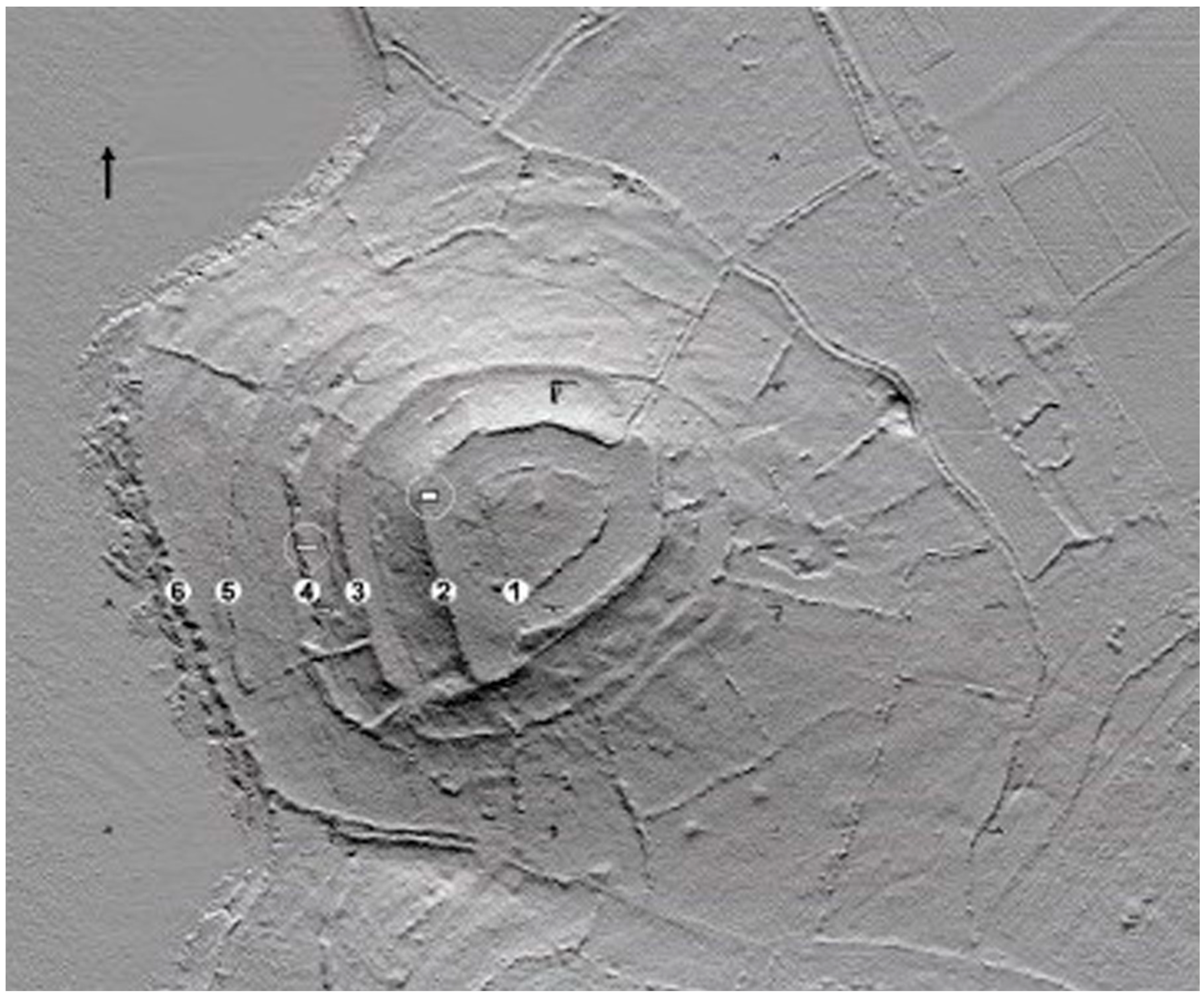 Quaternary 07 00056 g003